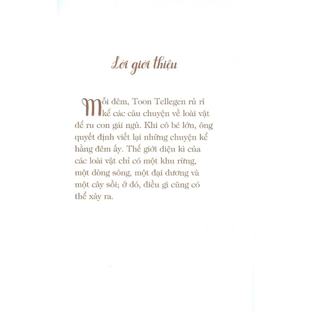 sinh nhật ở rừng và những cuộc vui tưng bừng (tái bản 2019)