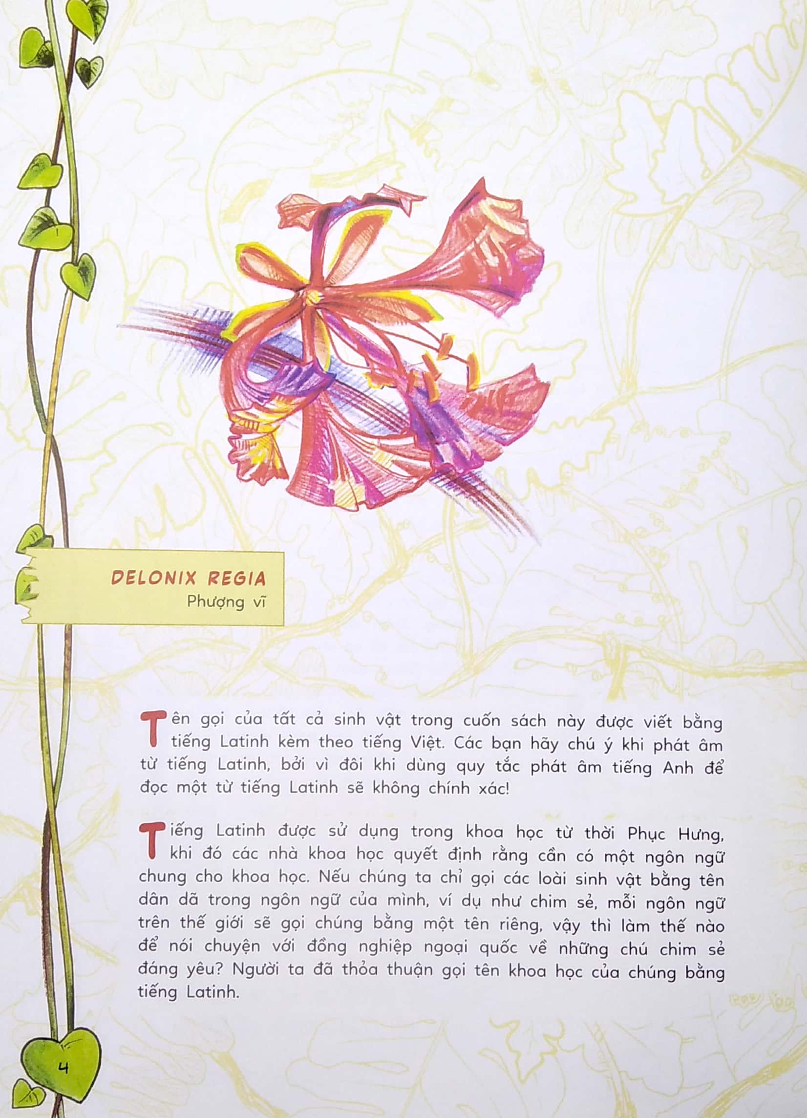 sinh vật học kỳ thú - bọ cánh cứng, nhện và những người bạn khác