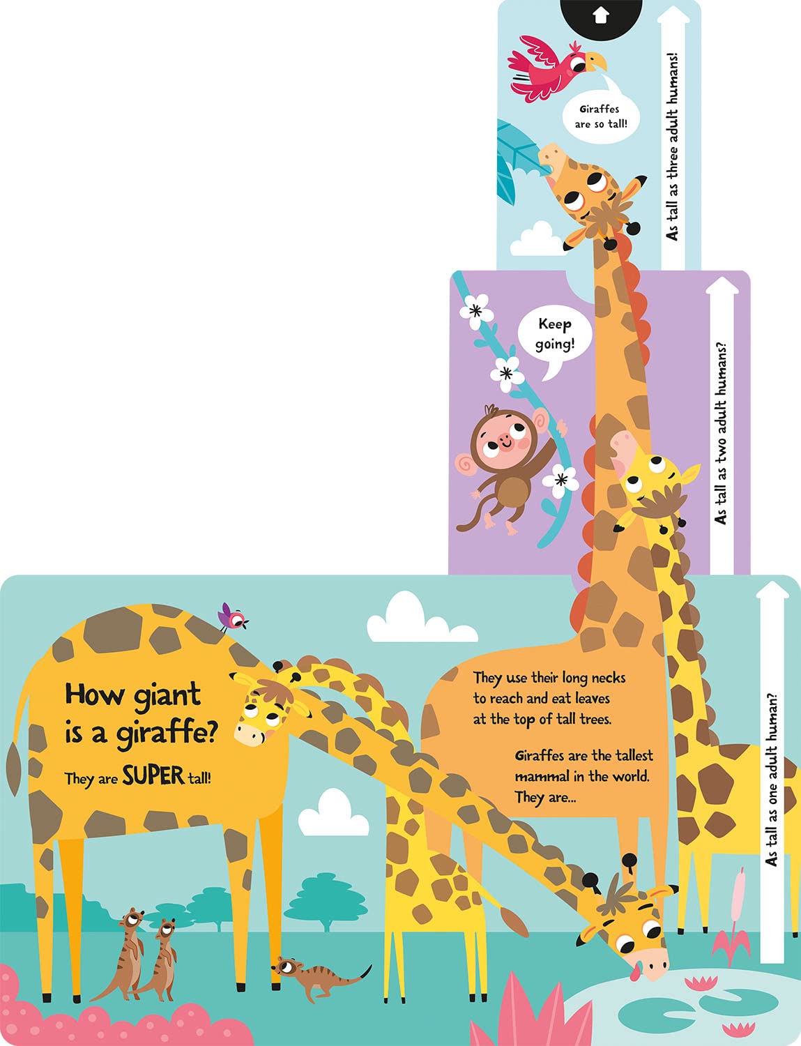 slide and seek - how loud is a lion?