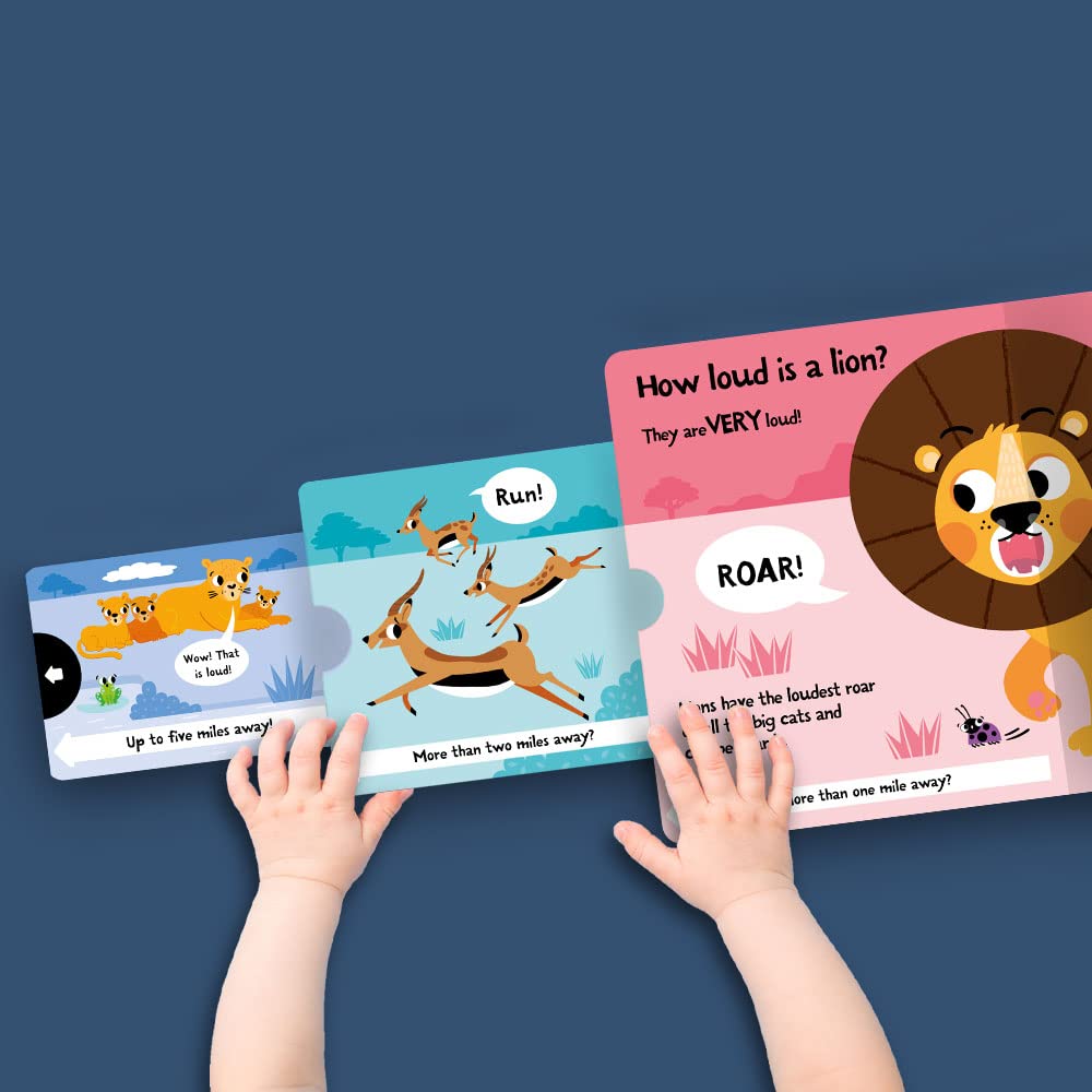 slide and seek - how loud is a lion?