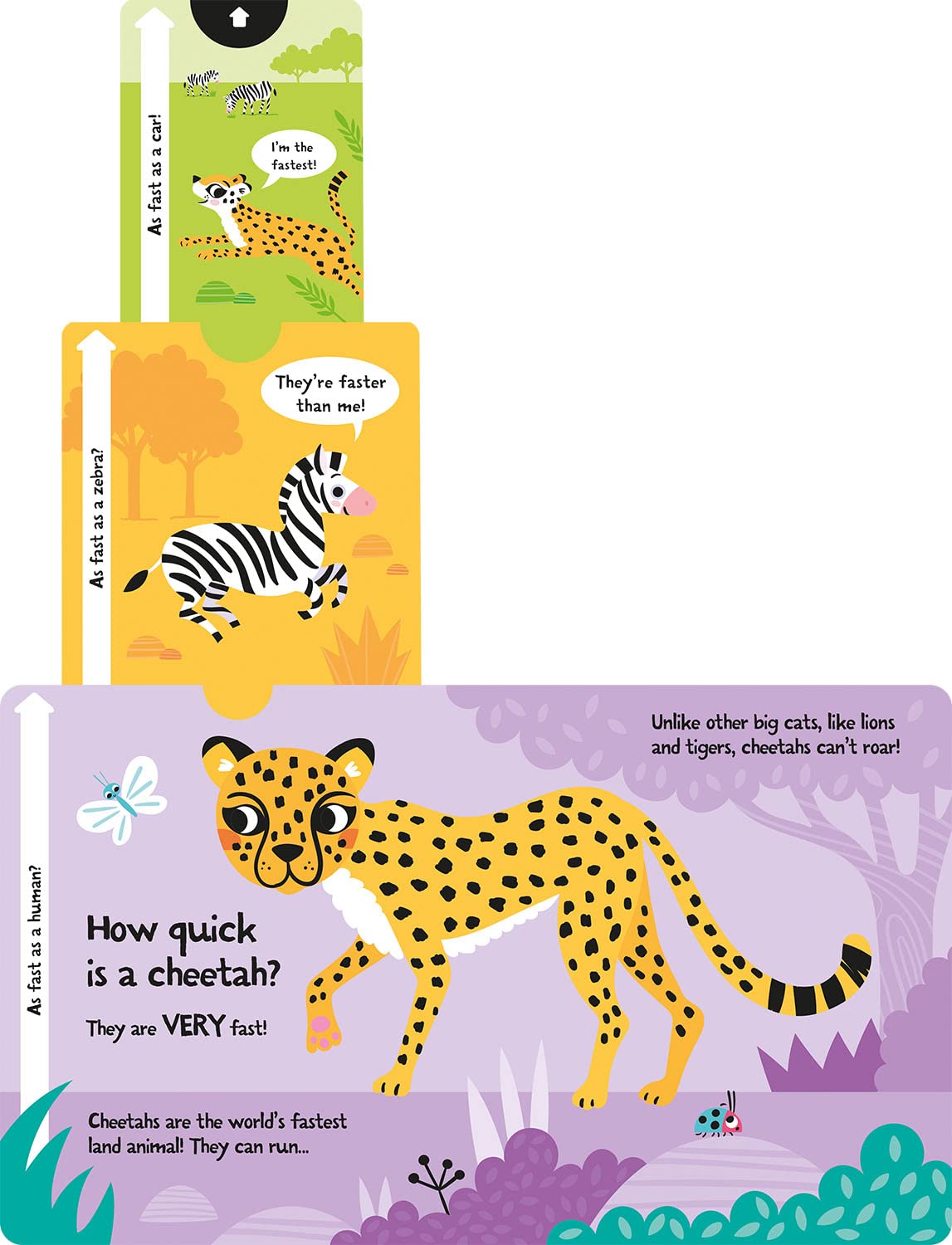 slide and seek - how loud is a lion?