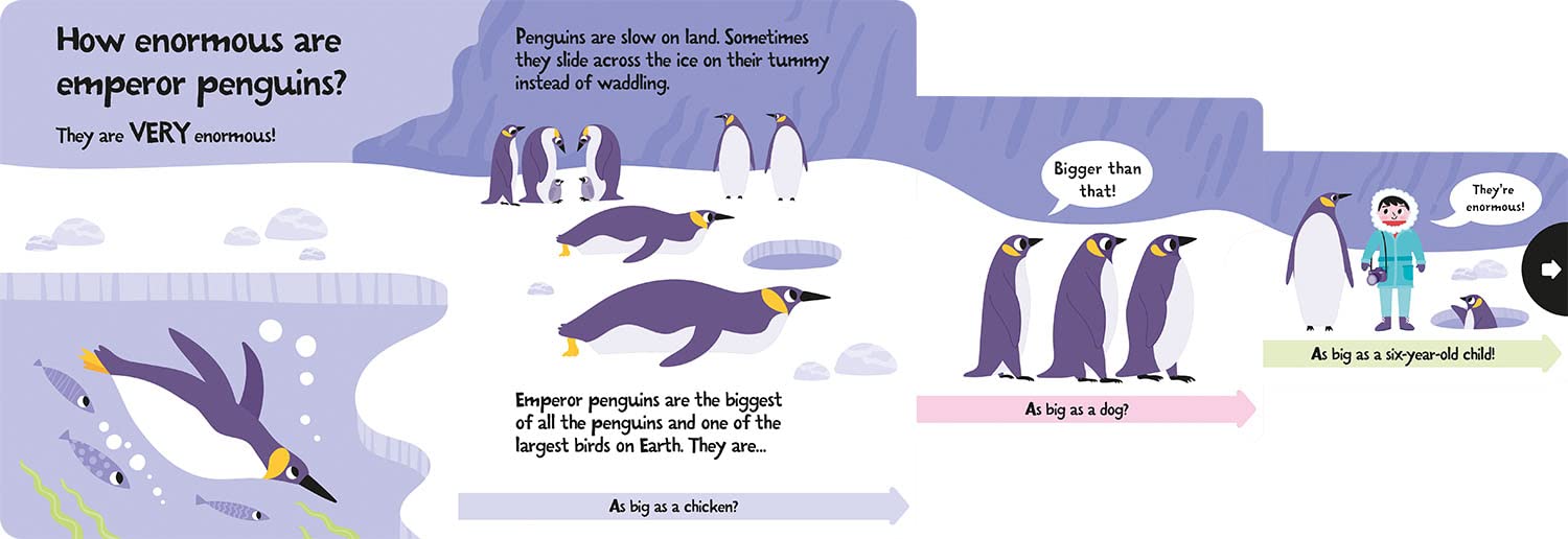 slide and seek - how wide is a whale?