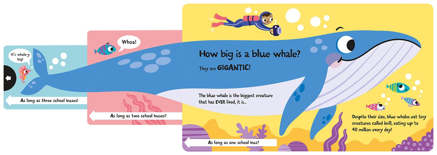 slide and seek - how wide is a whale?