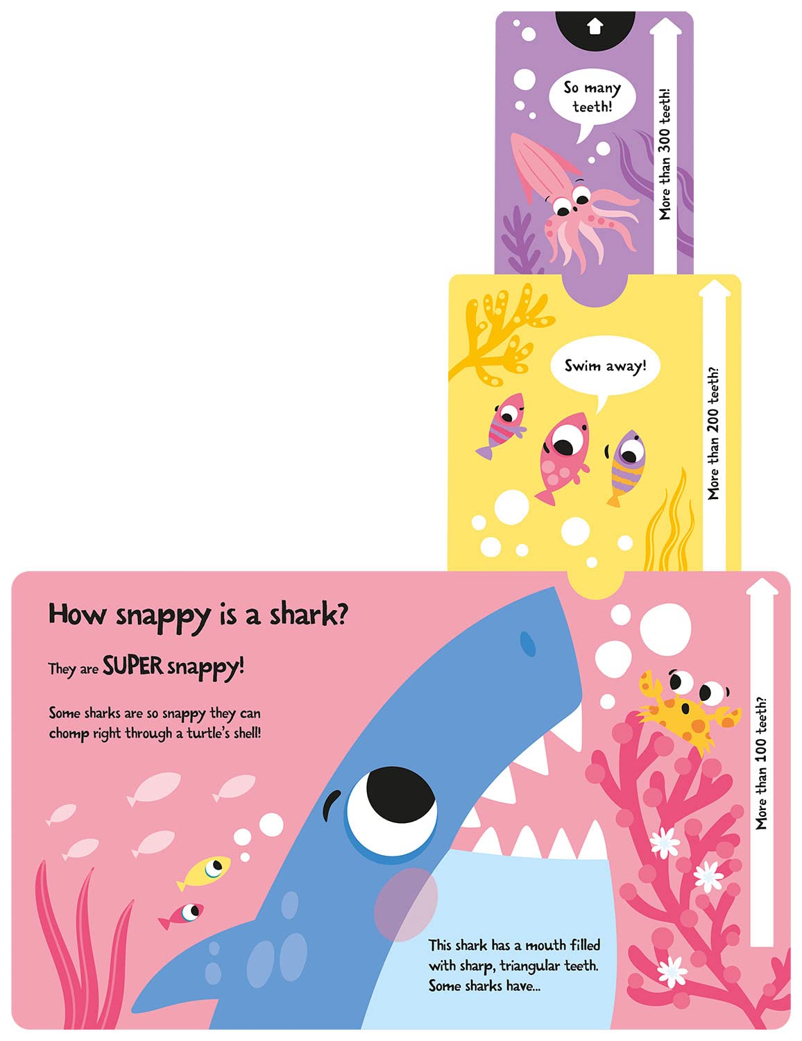 slide and seek - how wide is a whale?