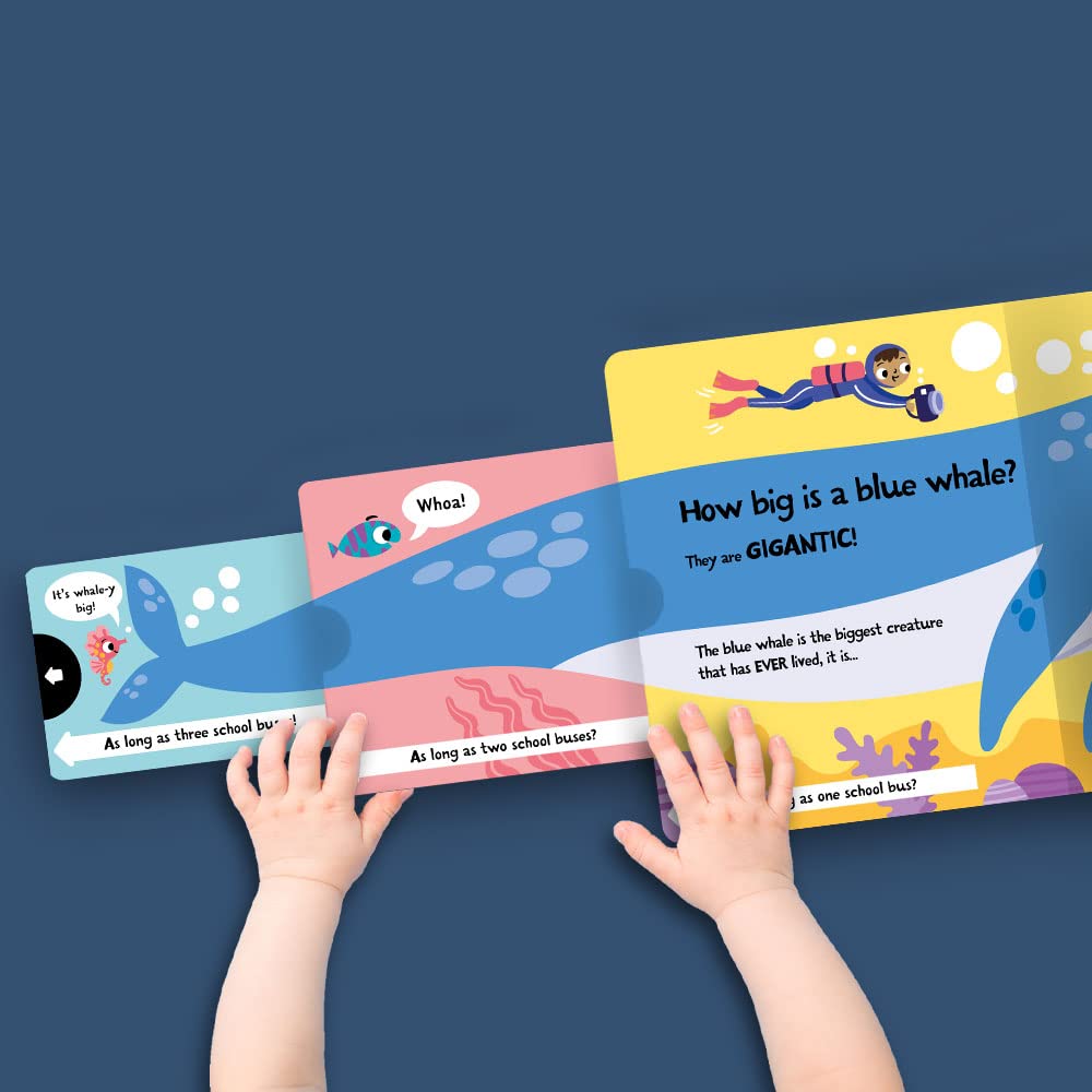 slide and seek - how wide is a whale?