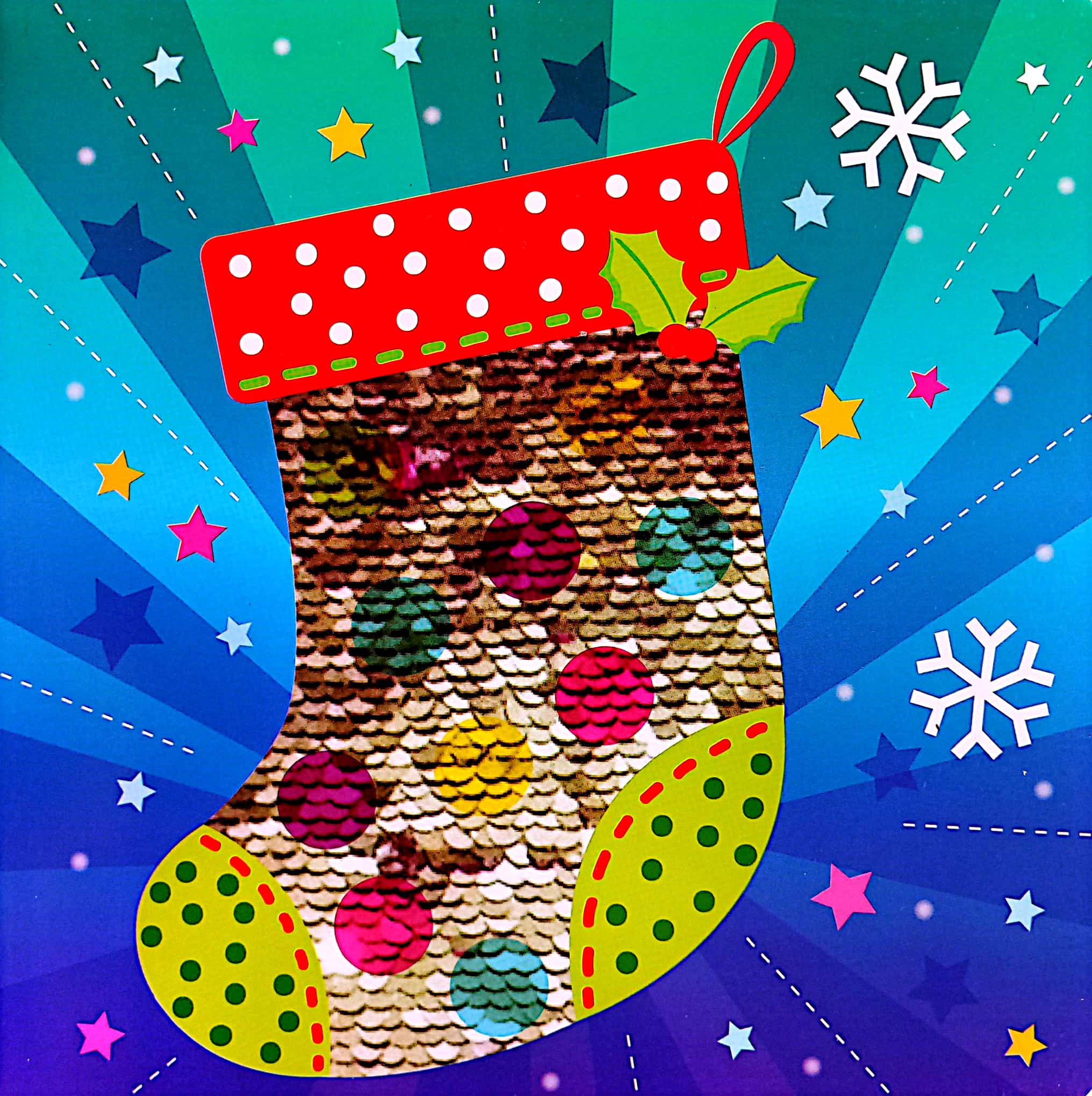 snowy season sequin book