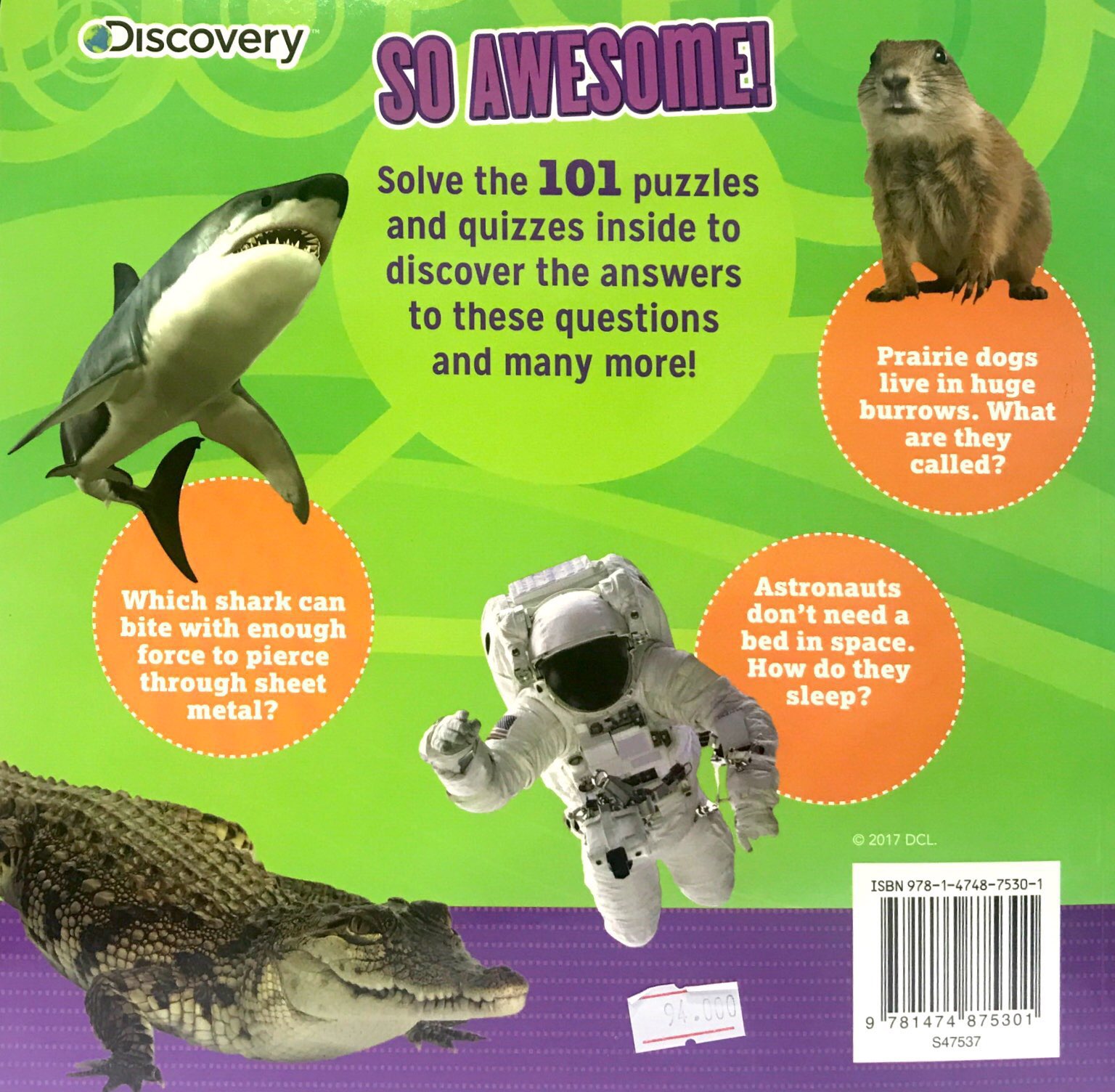 so awesome! puzzle books