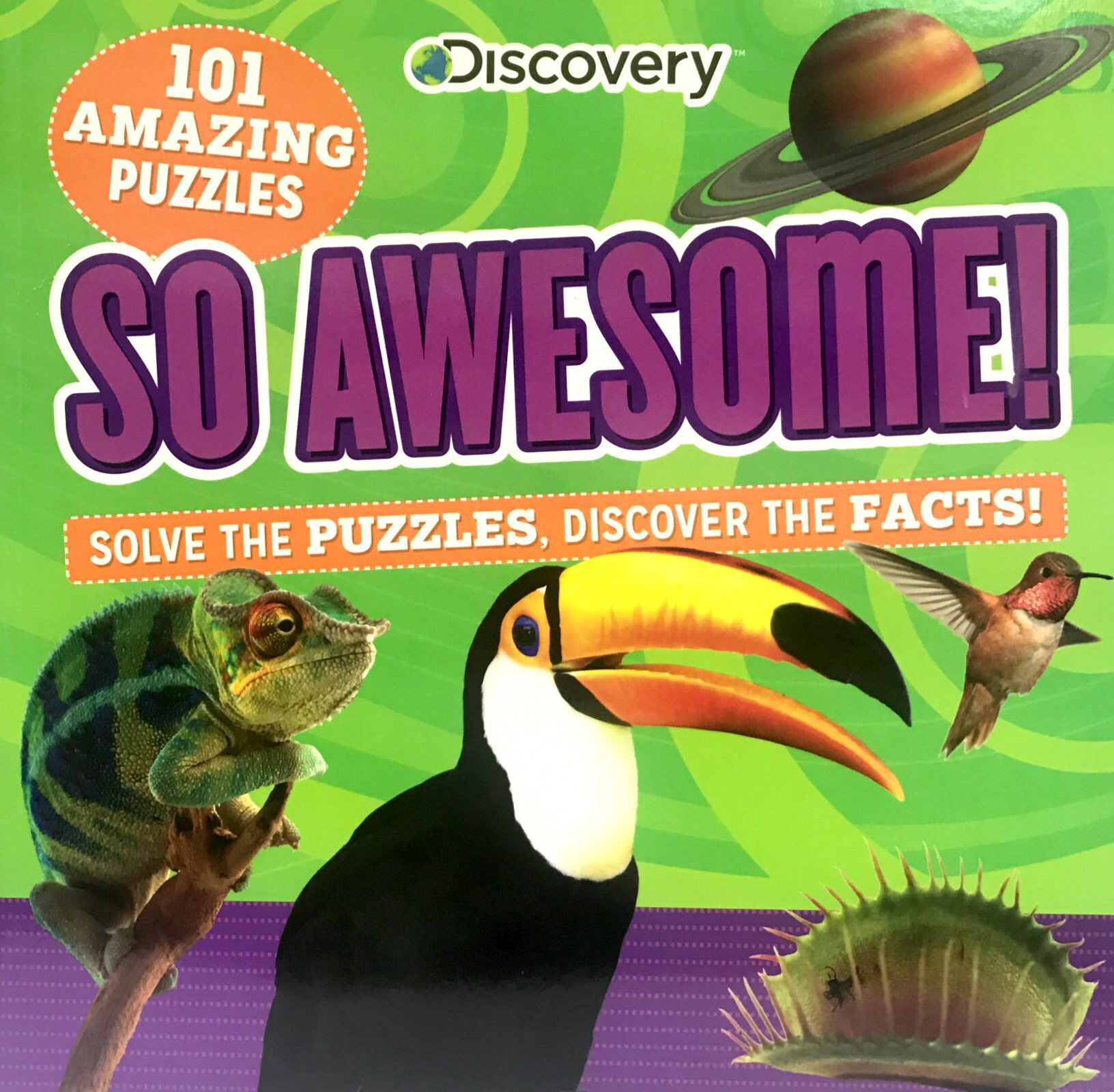 so awesome! puzzle books