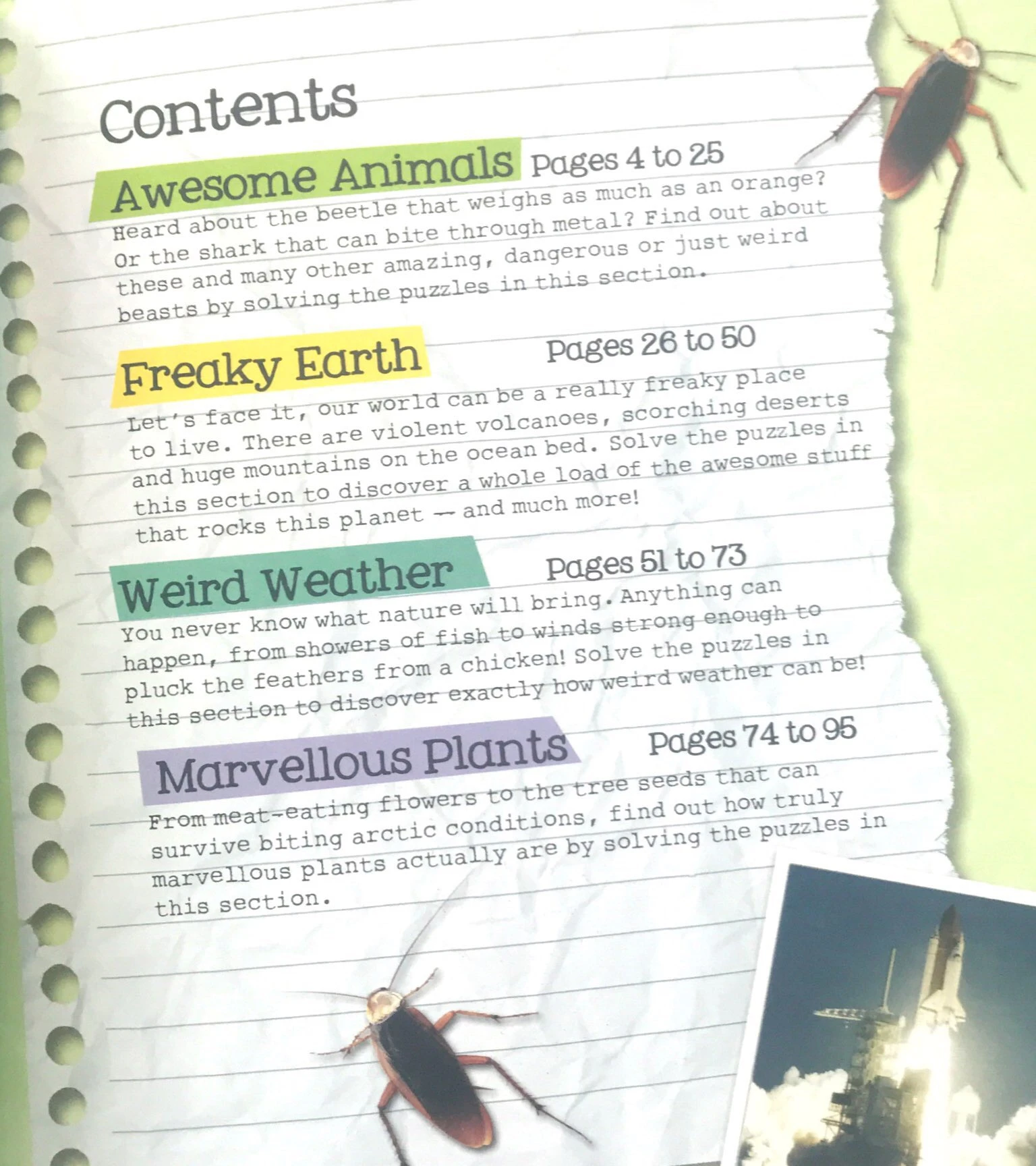 so awesome! puzzle books