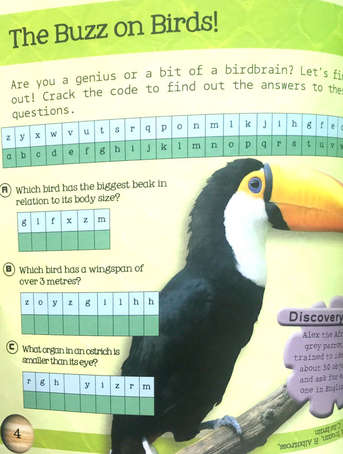 so awesome! puzzle books