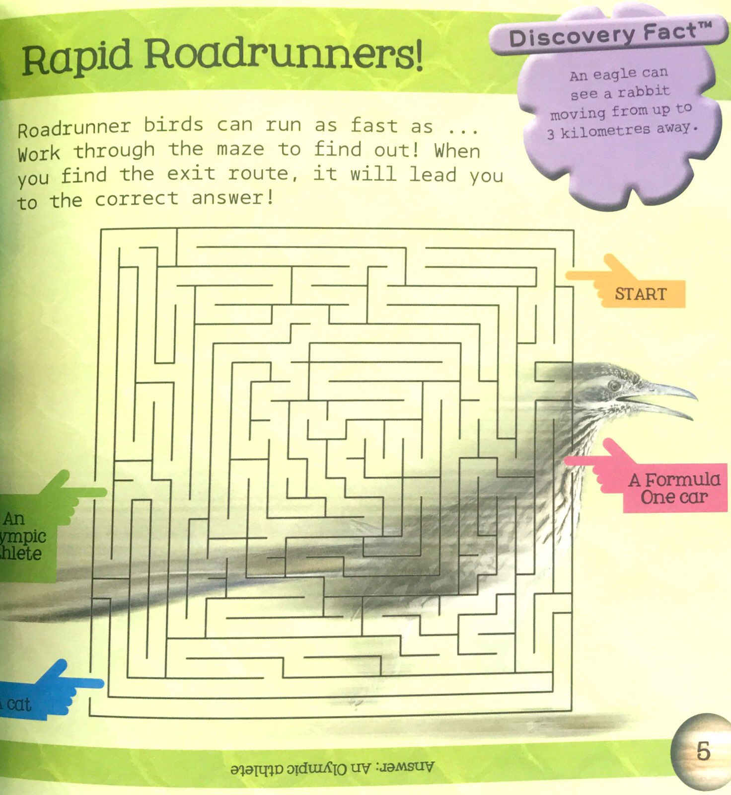 so awesome! puzzle books