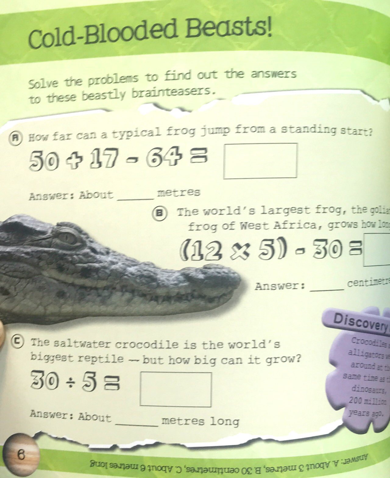 so awesome! puzzle books