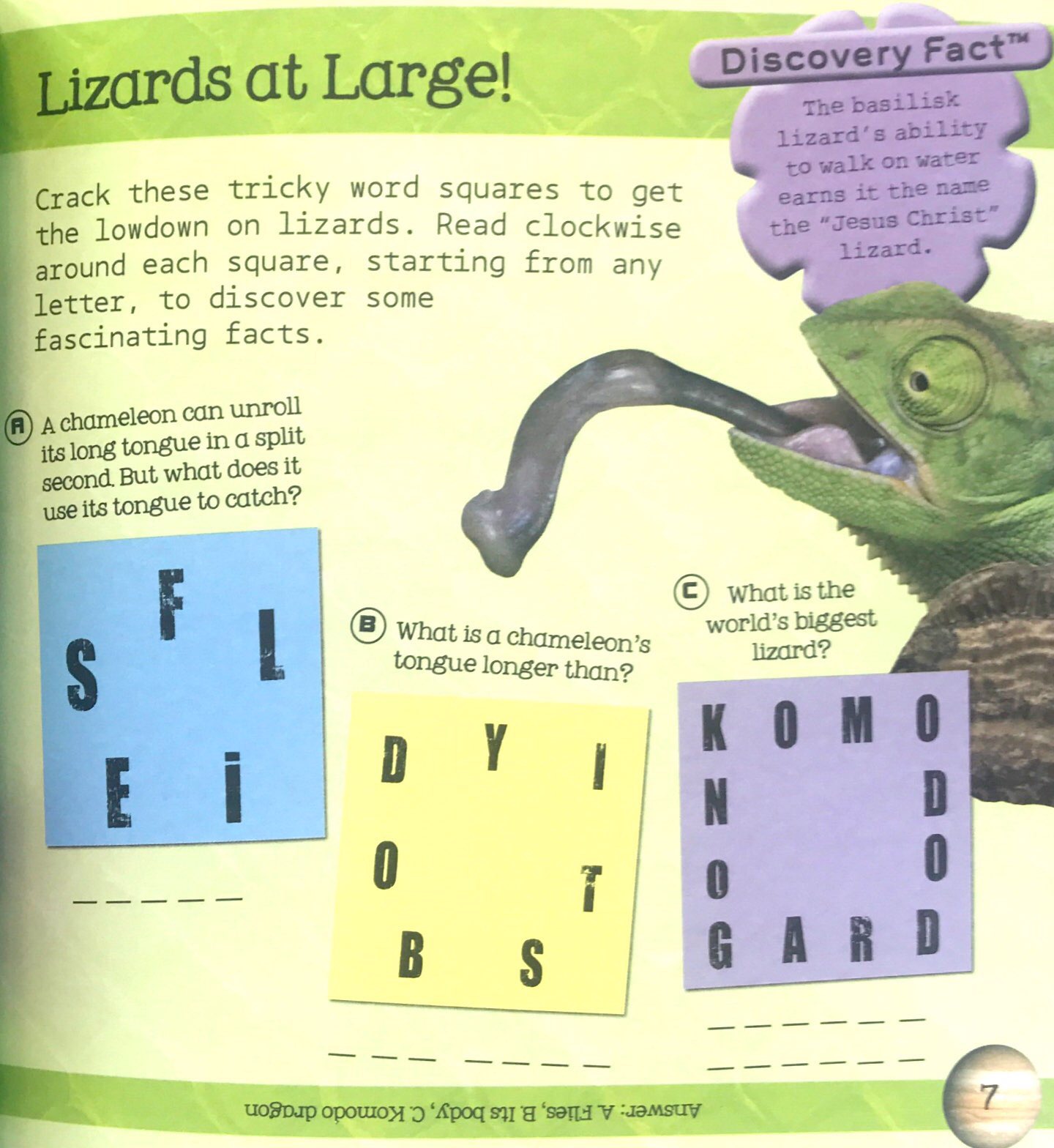 so awesome! puzzle books