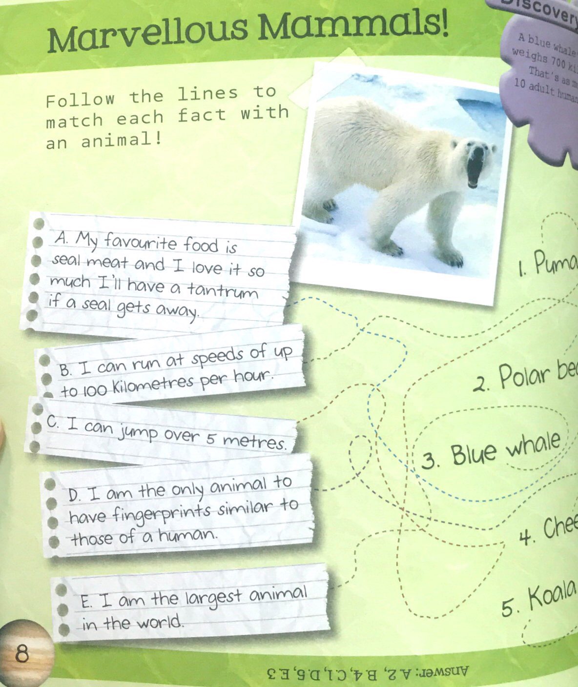 so awesome! puzzle books