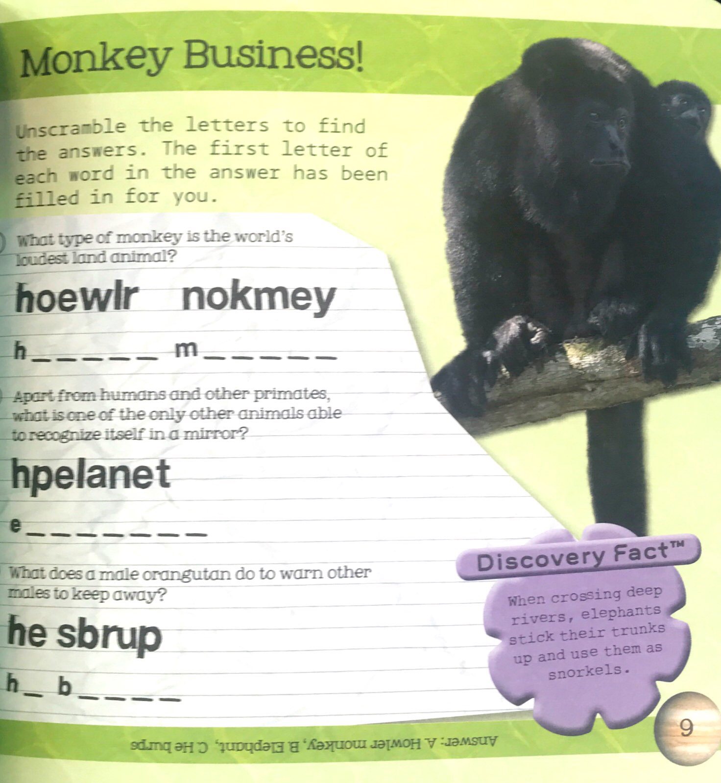 so awesome! puzzle books