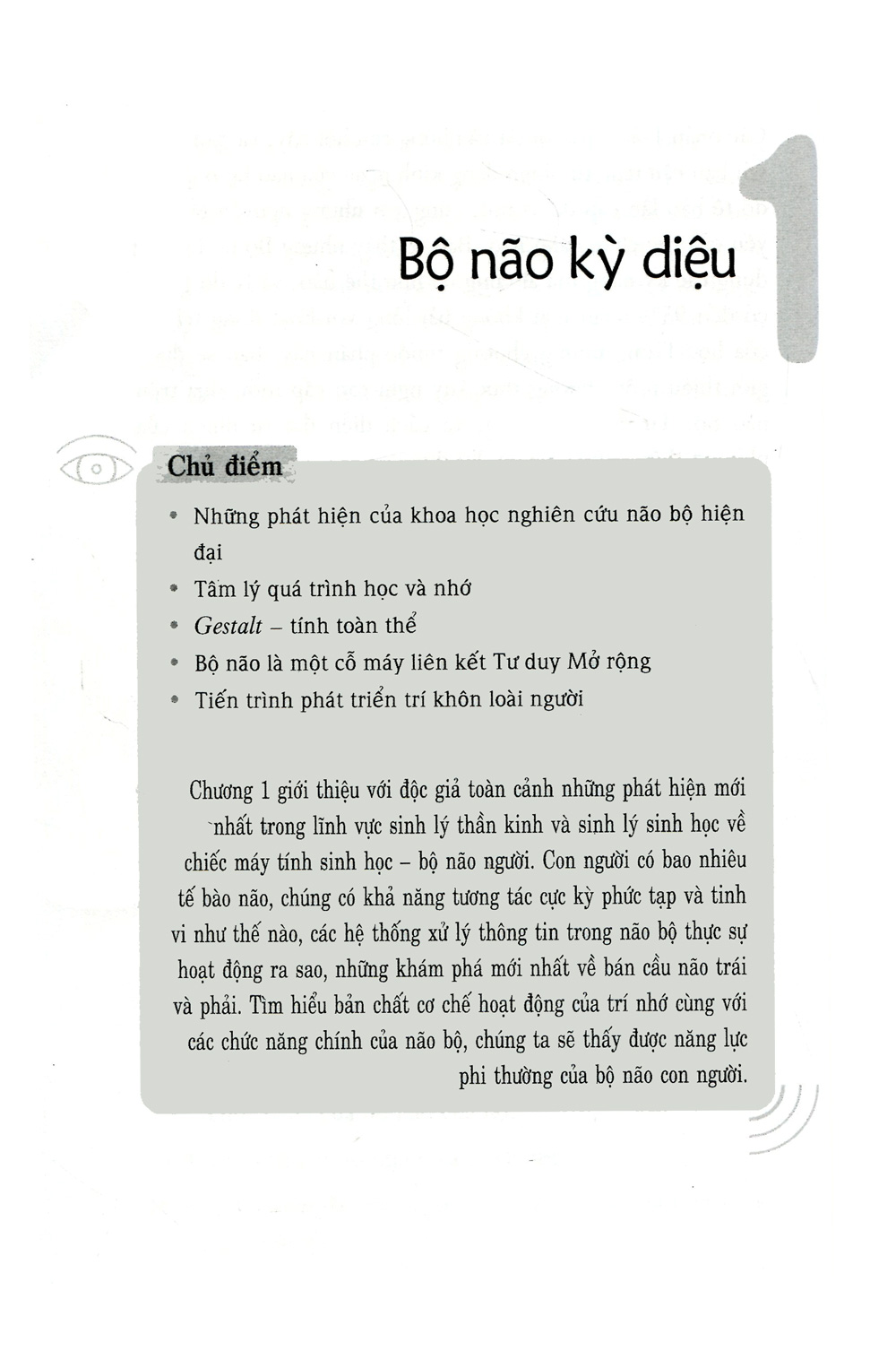 sơ đồ tư duy