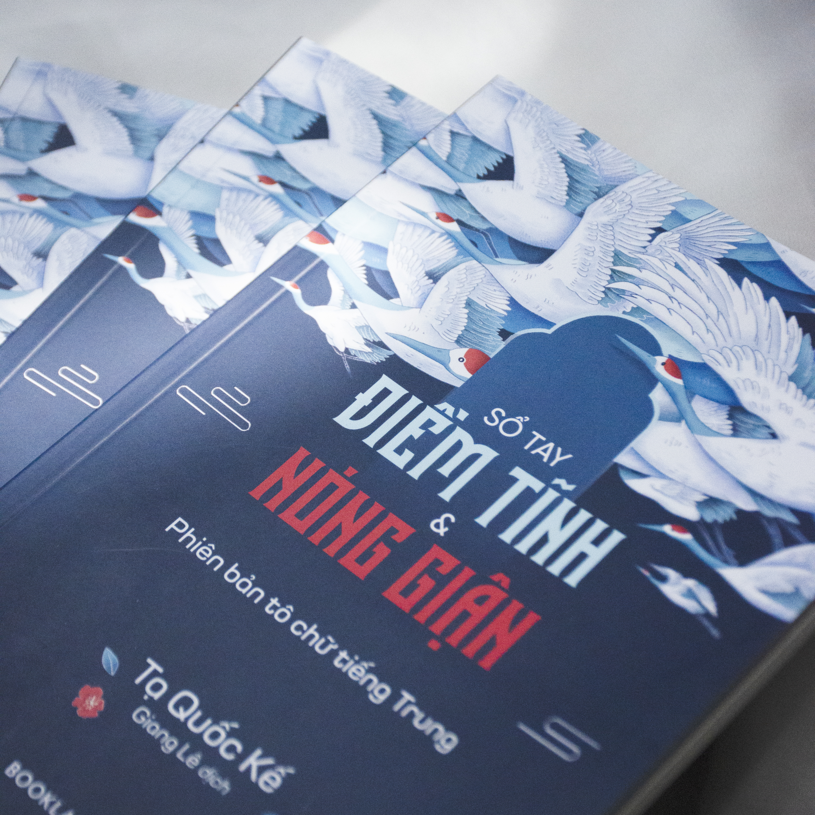 So Tay Diem Tinh Va Nong Gian - Phien Ban To Chu Tieng Trung