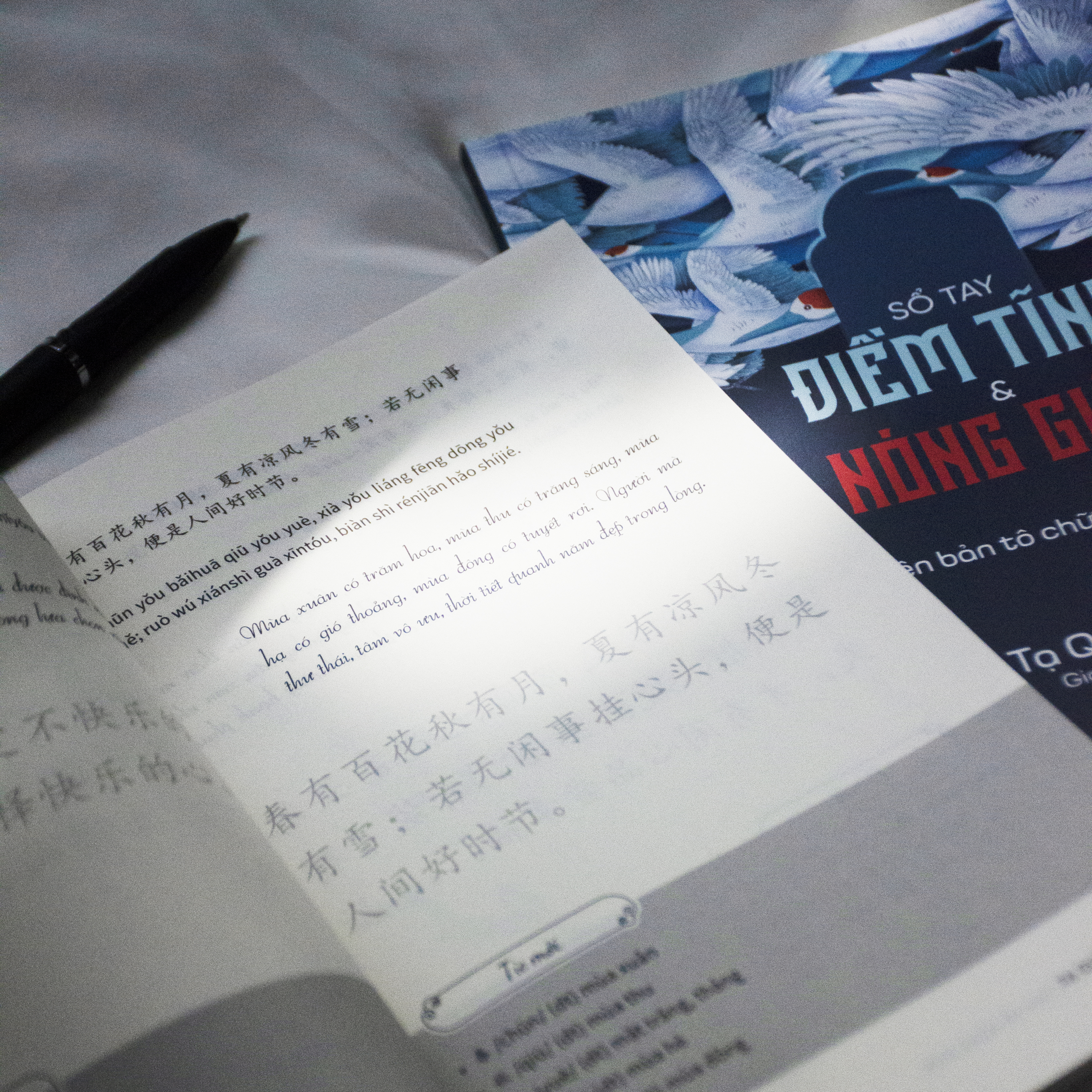 So Tay Diem Tinh Va Nong Gian - Phien Ban To Chu Tieng Trung