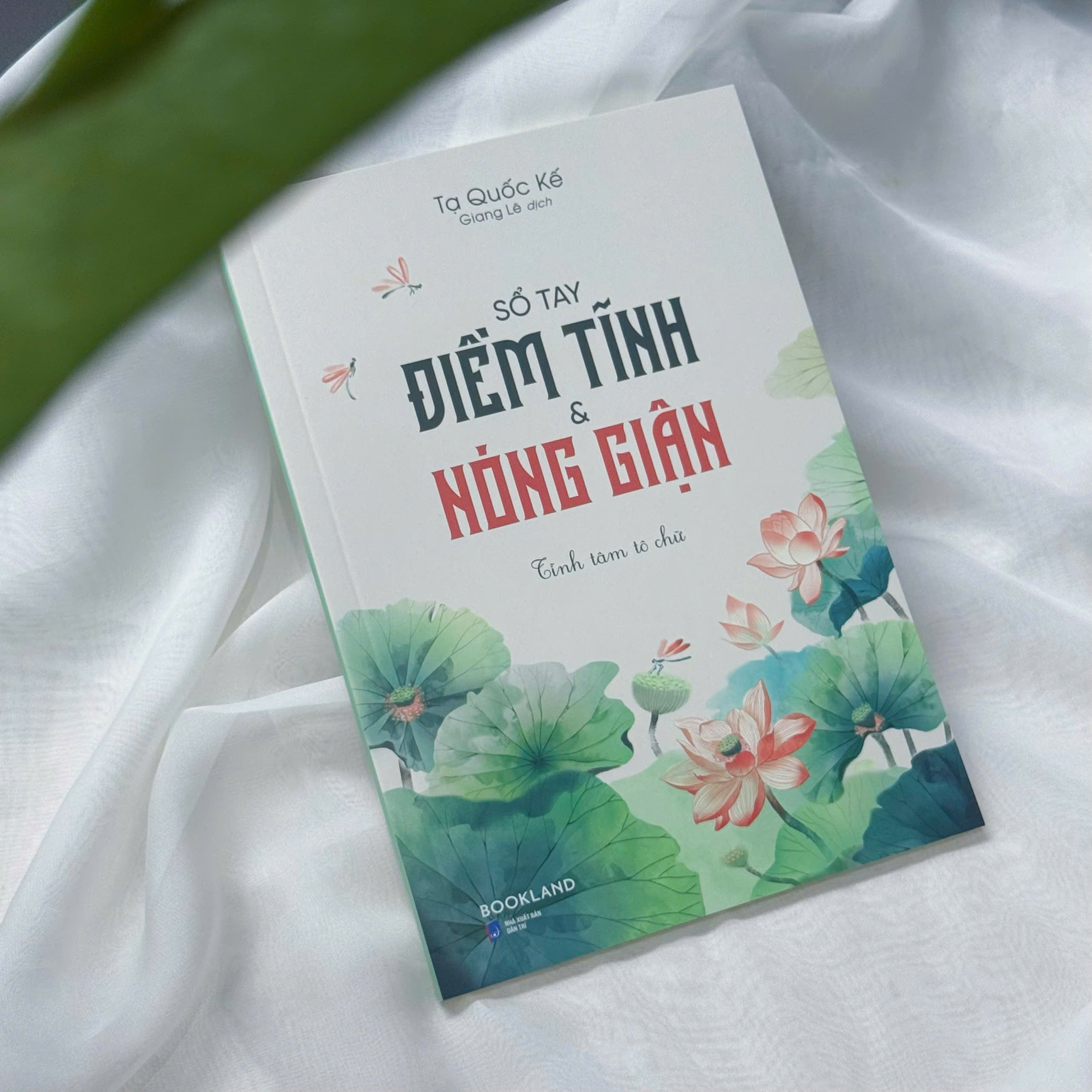 So Tay Diem Tinh Va Nong Gian - Tinh Tam To Chu