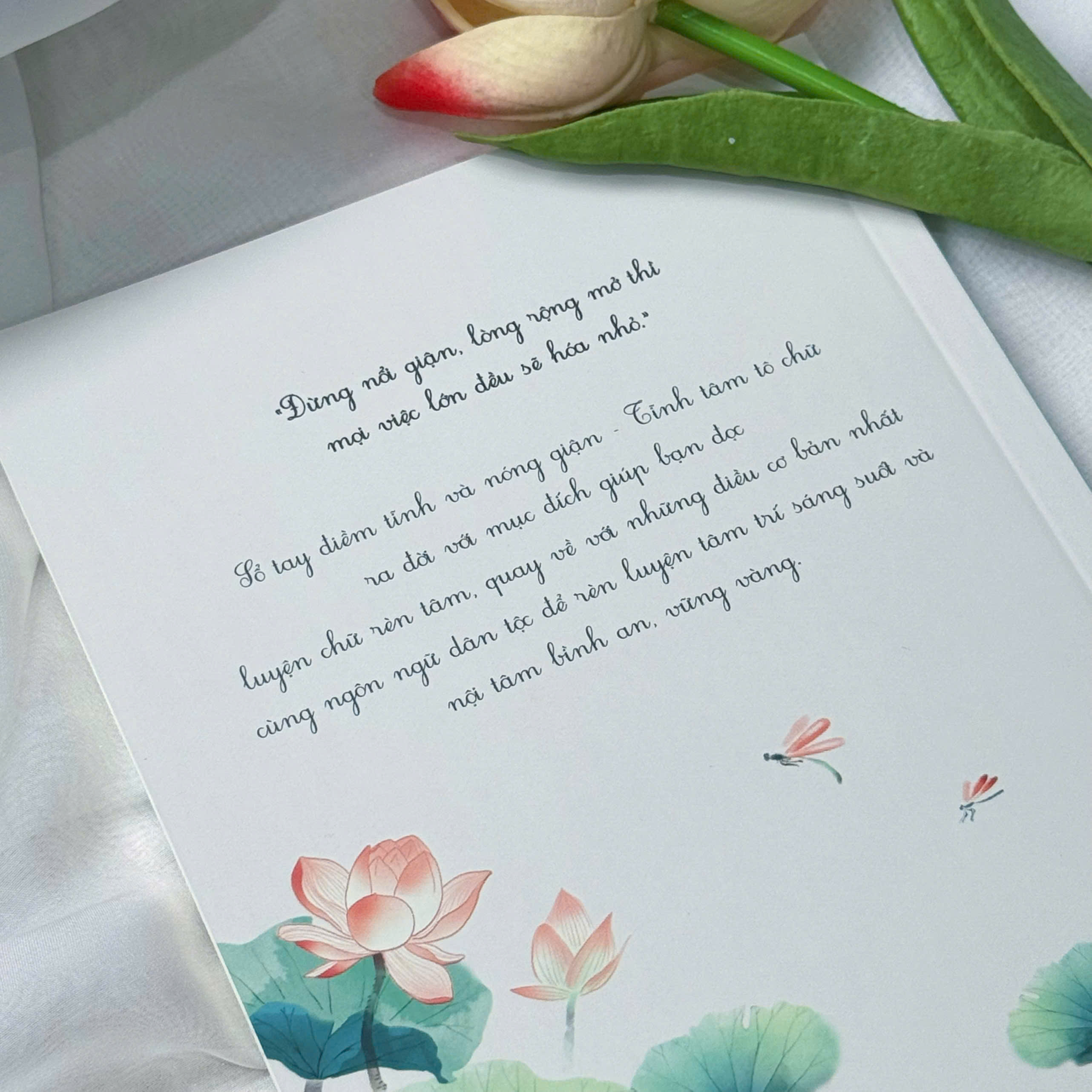 So Tay Diem Tinh Va Nong Gian - Tinh Tam To Chu