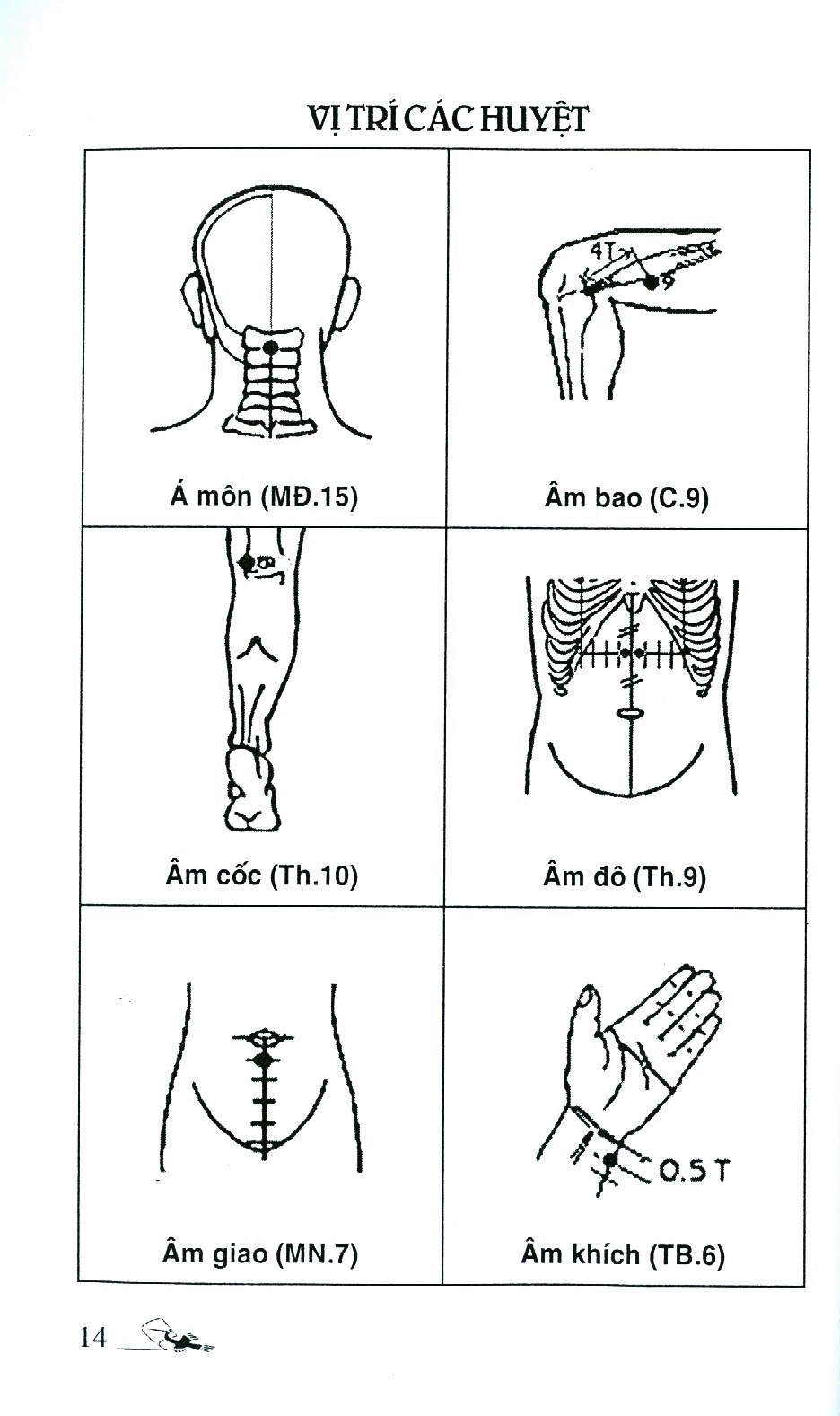 số tay tìm huyệt (tái bản 2019)