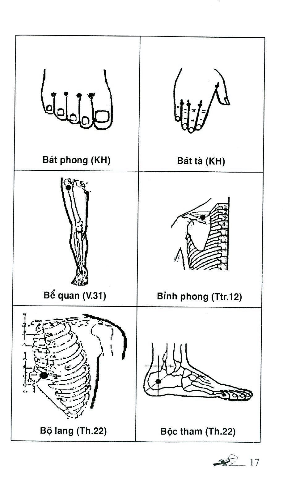 số tay tìm huyệt (tái bản 2019)