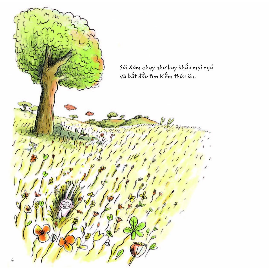 sói xám sốt sắng săn