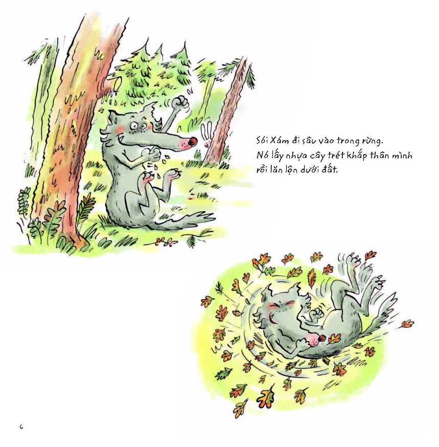 sói xám xoay xở sống