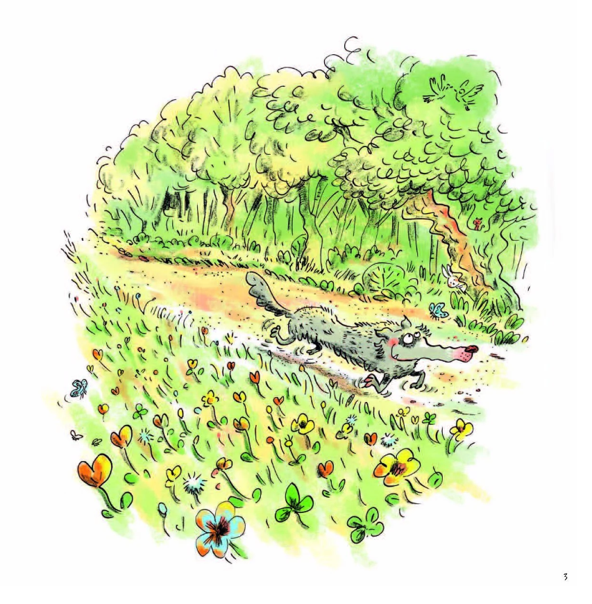 sói xám xốn xang