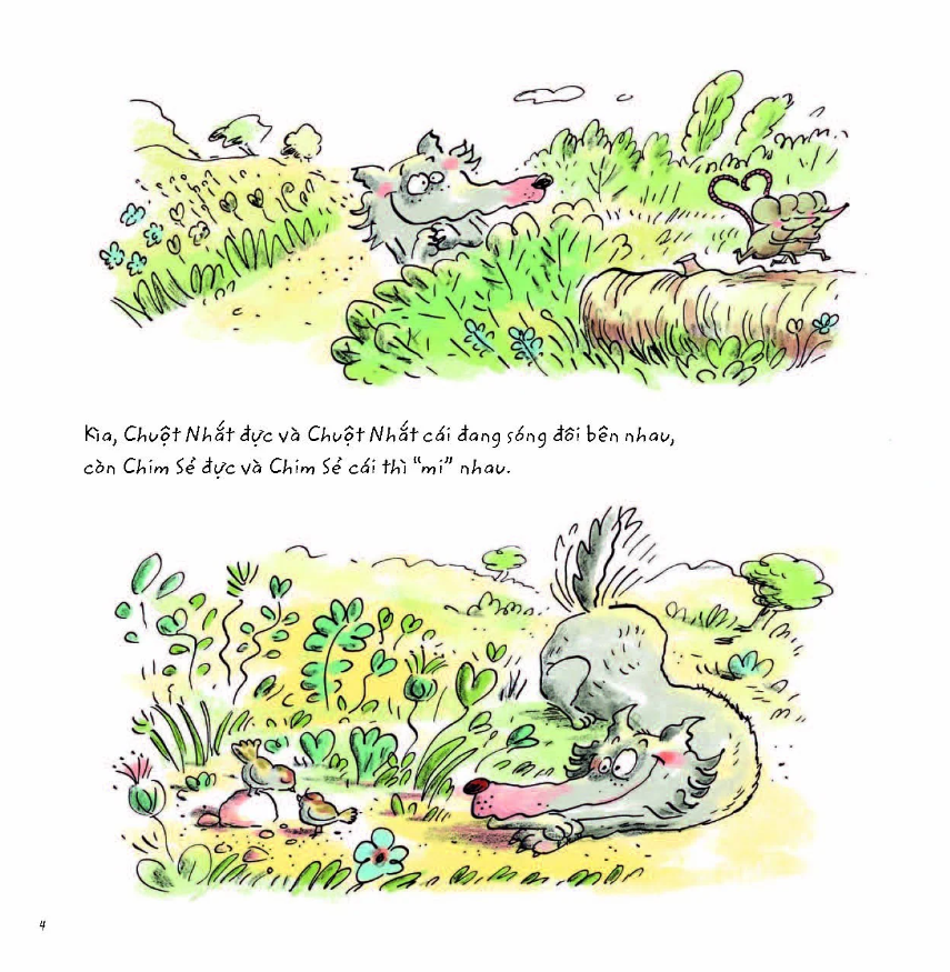 sói xám xốn xang