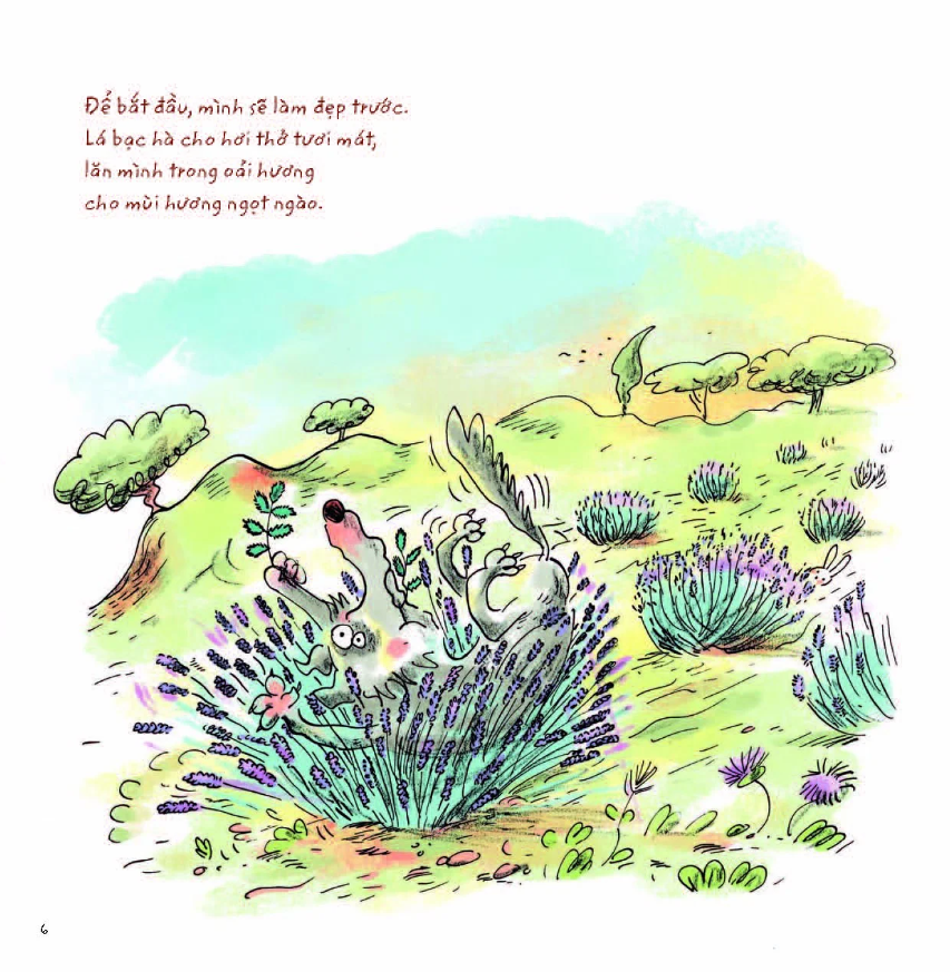 sói xám xốn xang