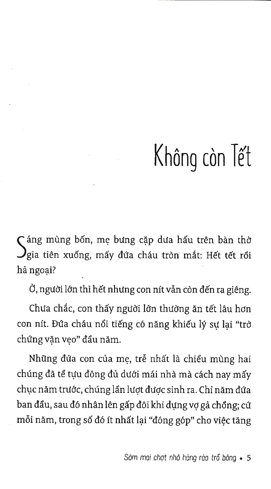 sớm mai chợt nhớ hàng rào trổ bông