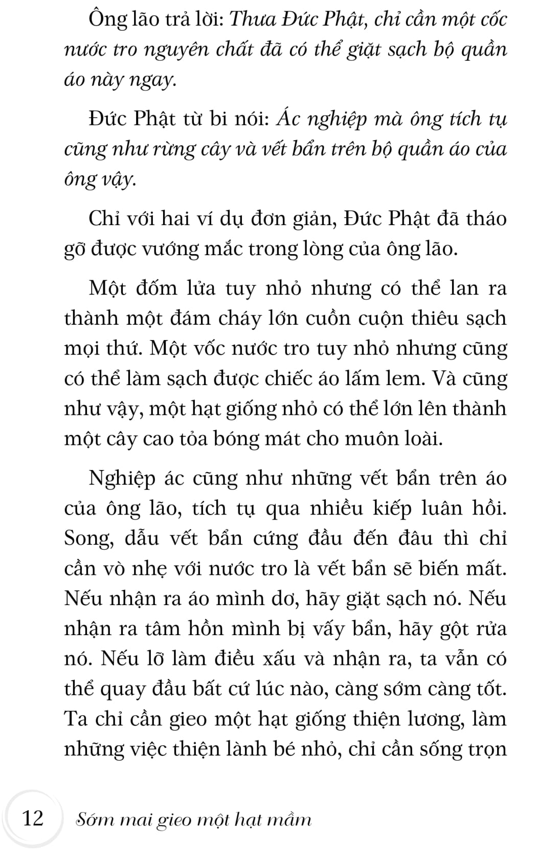 sớm mai gieo một hạt mầm