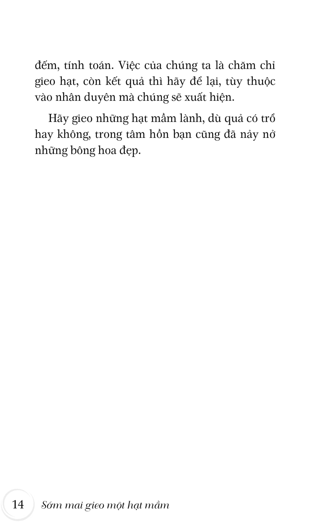 sớm mai gieo một hạt mầm