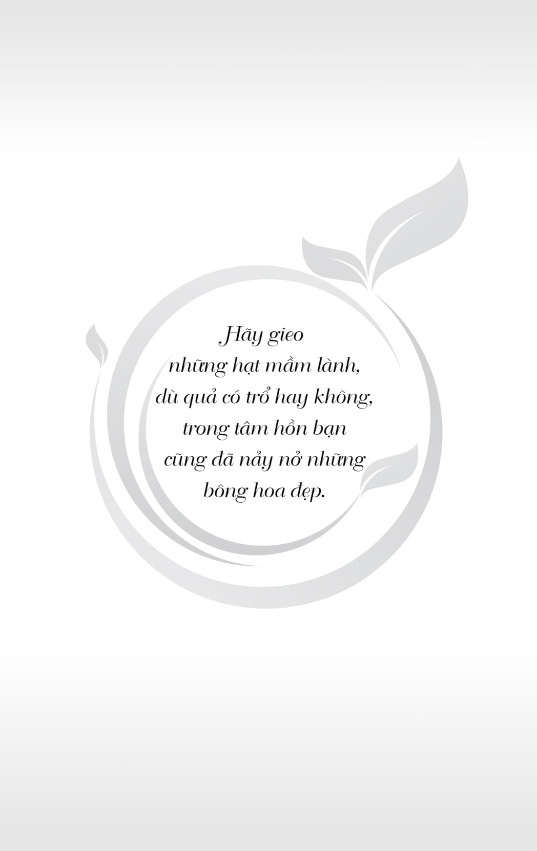 sớm mai gieo một hạt mầm