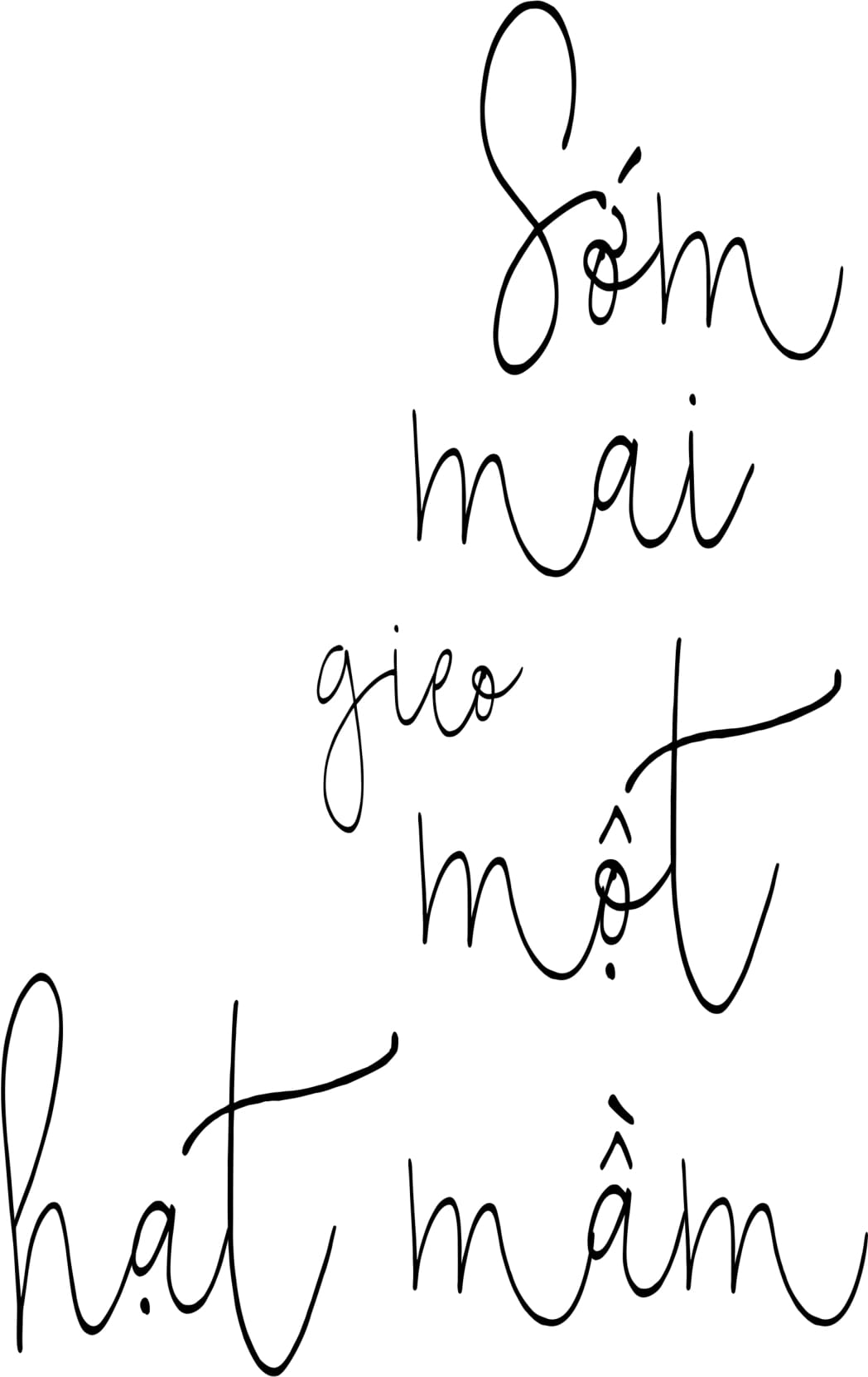 sớm mai gieo một hạt mầm