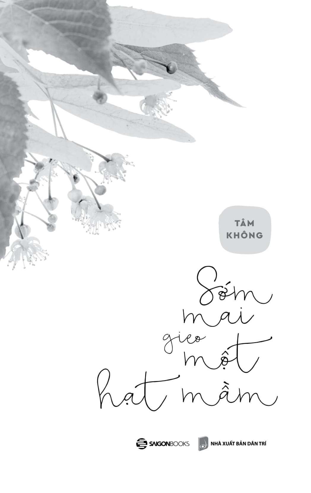 sớm mai gieo một hạt mầm