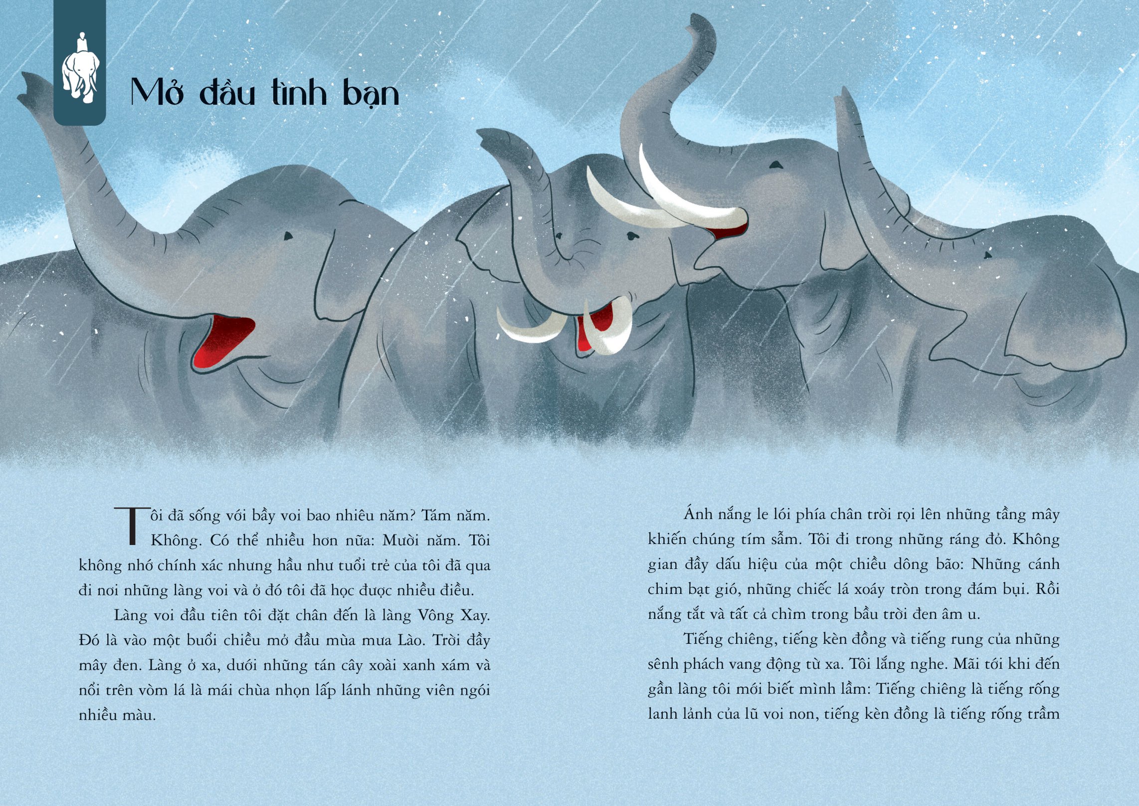 sống giữa bầy voi (tái bản 2024)