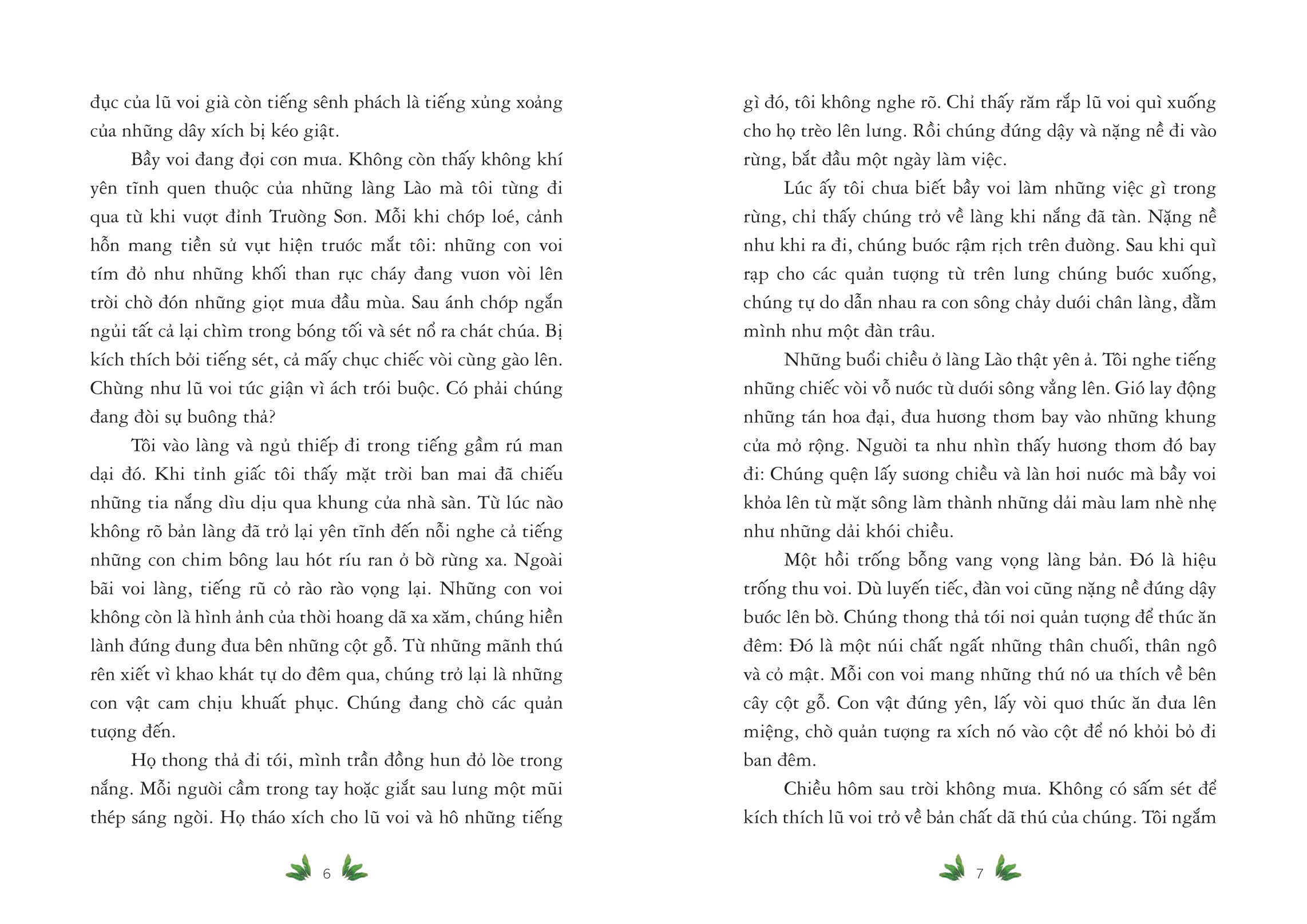 sống giữa bầy voi (tái bản 2024)