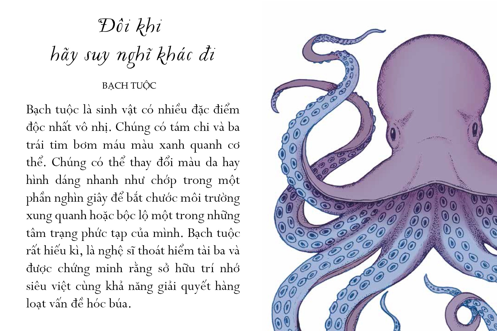 sống một đời tựa biển khơi - những bài học trí tuệ nhẹ nhàng sâu lắng của đại dương