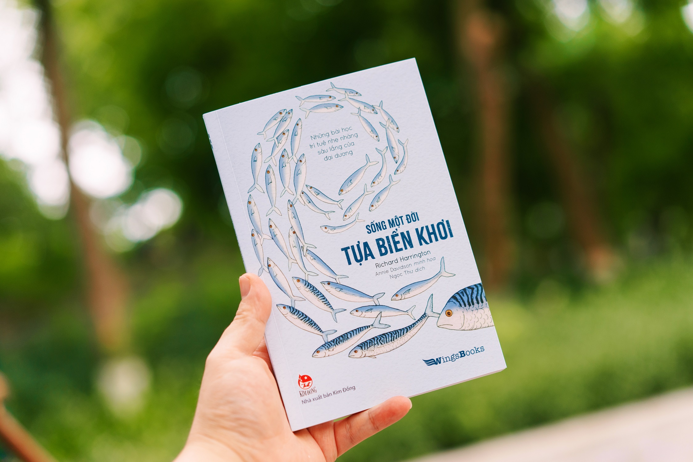 sống một đời tựa biển khơi - những bài học trí tuệ nhẹ nhàng sâu lắng của đại dương