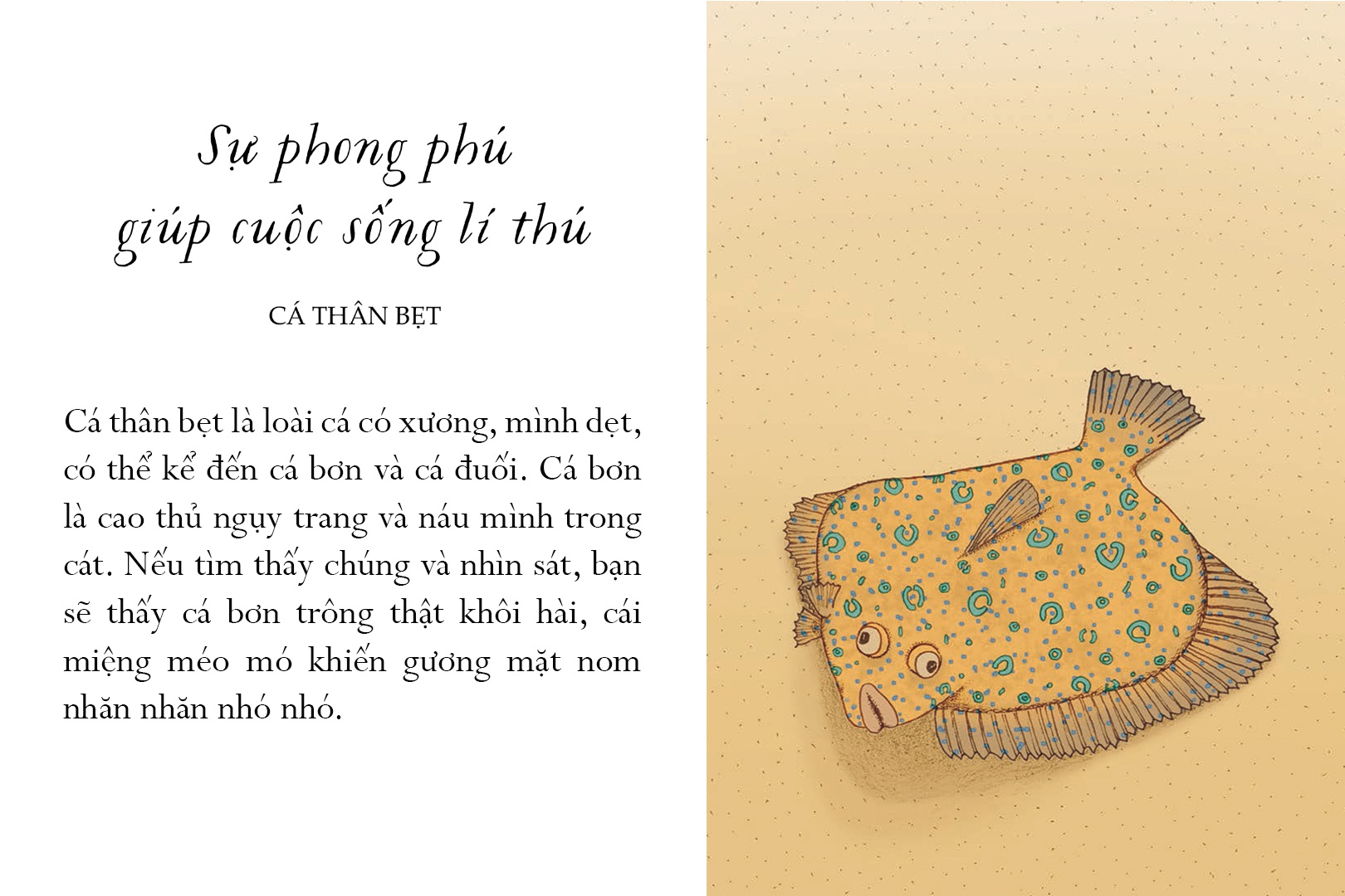 sống một đời tựa biển khơi - những bài học trí tuệ nhẹ nhàng sâu lắng của đại dương