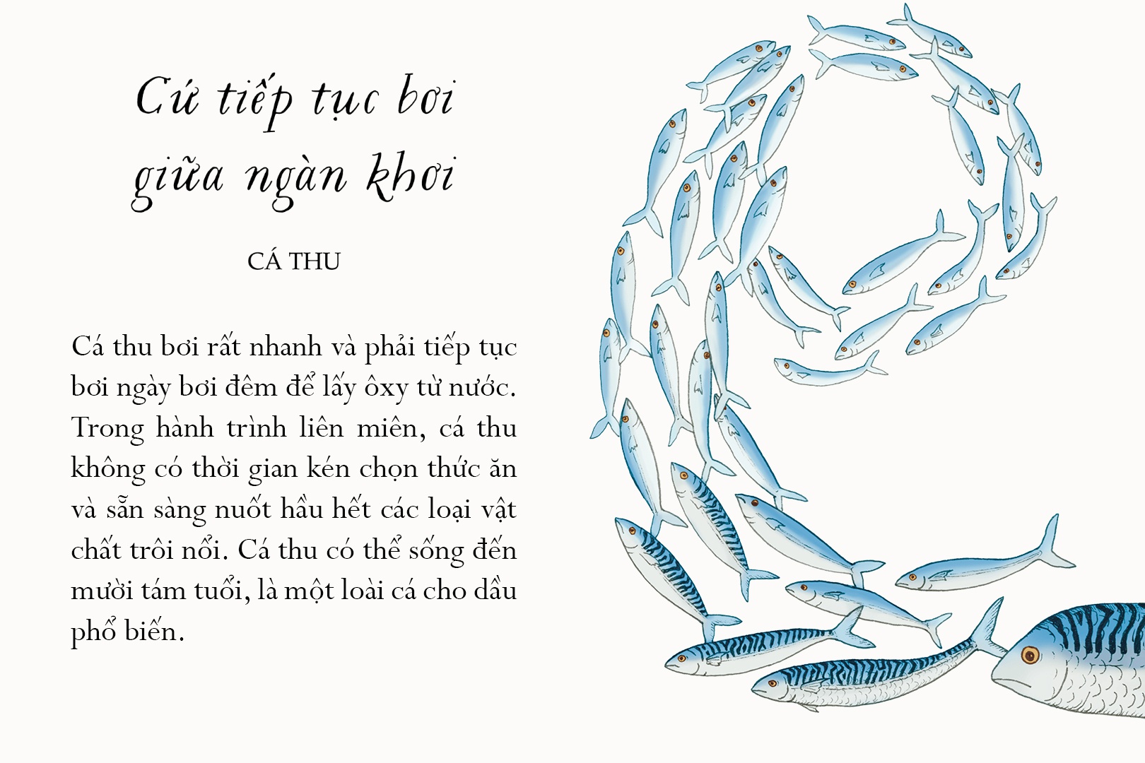 sống một đời tựa biển khơi - những bài học trí tuệ nhẹ nhàng sâu lắng của đại dương