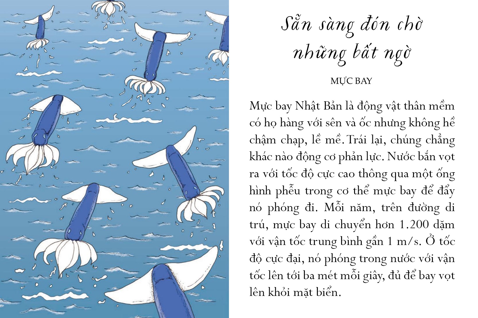 sống một đời tựa biển khơi - những bài học trí tuệ nhẹ nhàng sâu lắng của đại dương