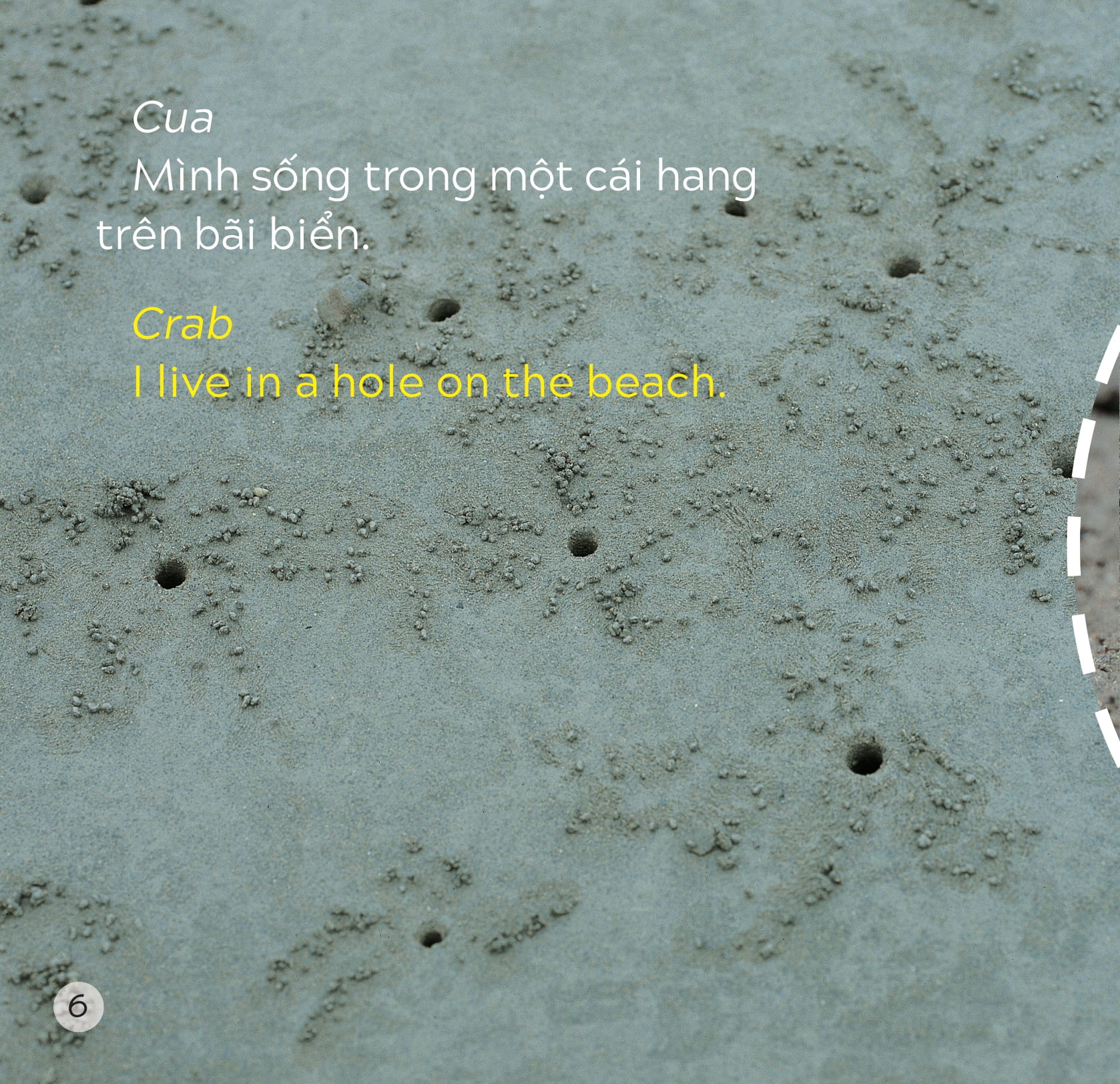 song ngữ việt anh - khám phá thế giới - bạn sống ở đâu thế? - where do you live?