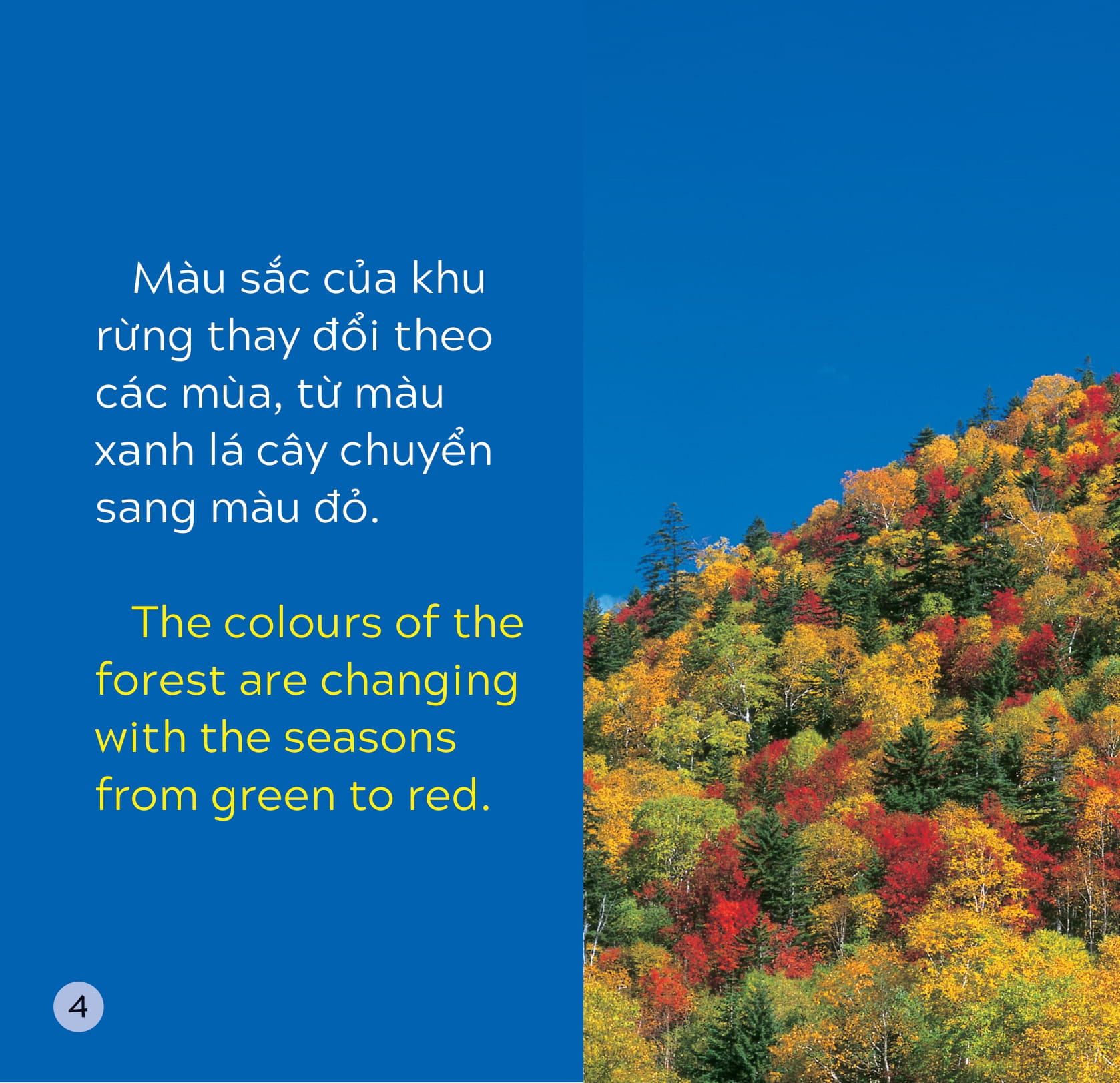 song ngữ việt anh - khám phá thế giới - các màu sắc trên trái đất - colours on earth