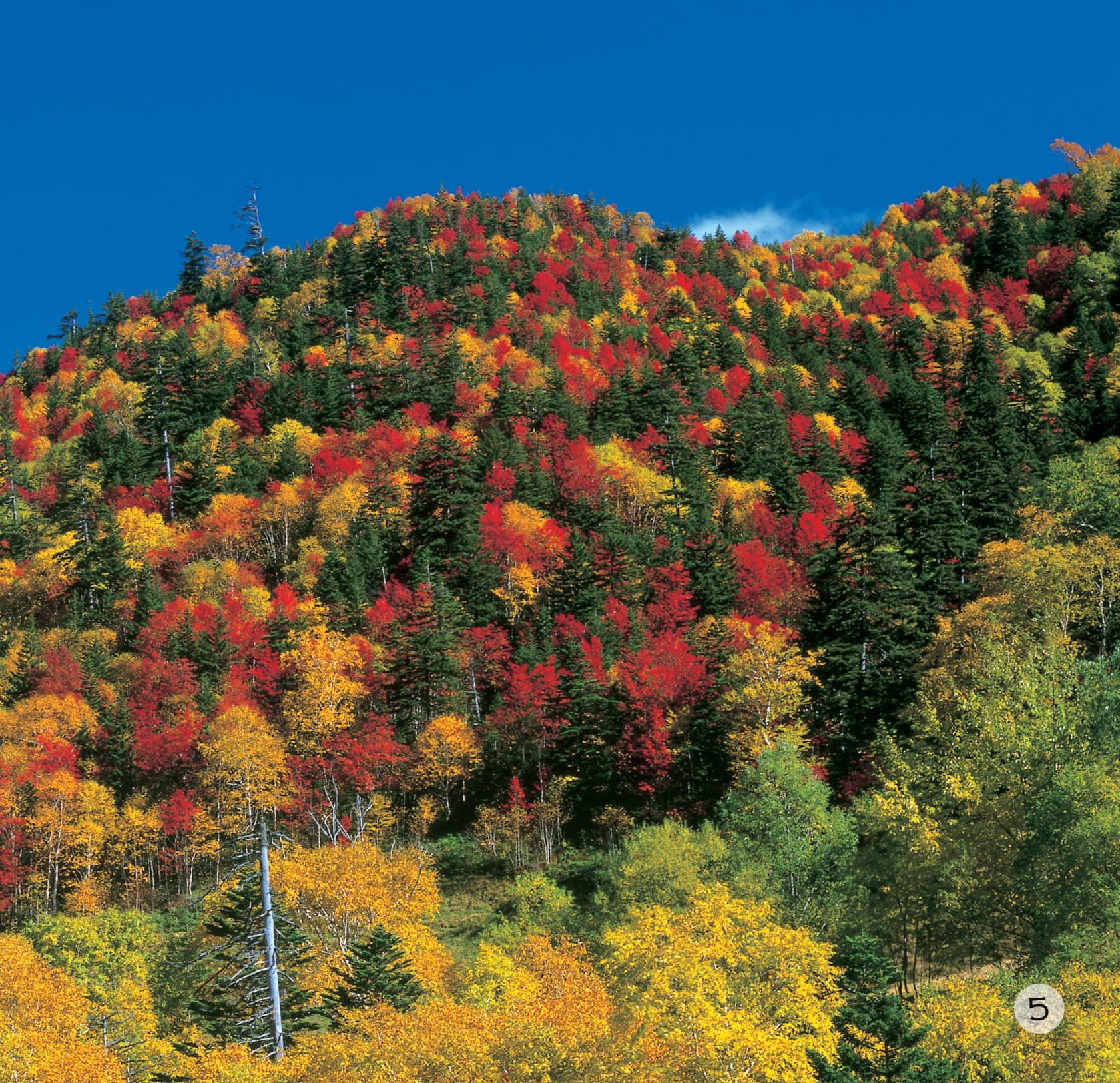 song ngữ việt anh - khám phá thế giới - các màu sắc trên trái đất - colours on earth
