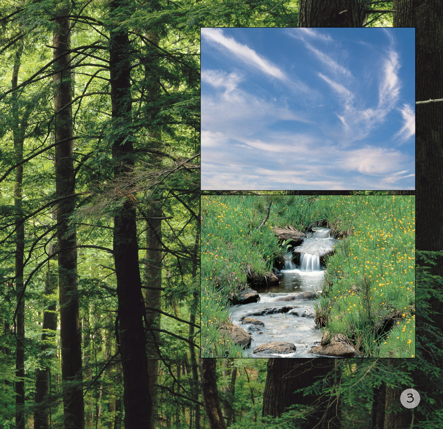 song ngữ việt anh - khám phá thế giới - hành tinh xinh đẹp - beautiful planet