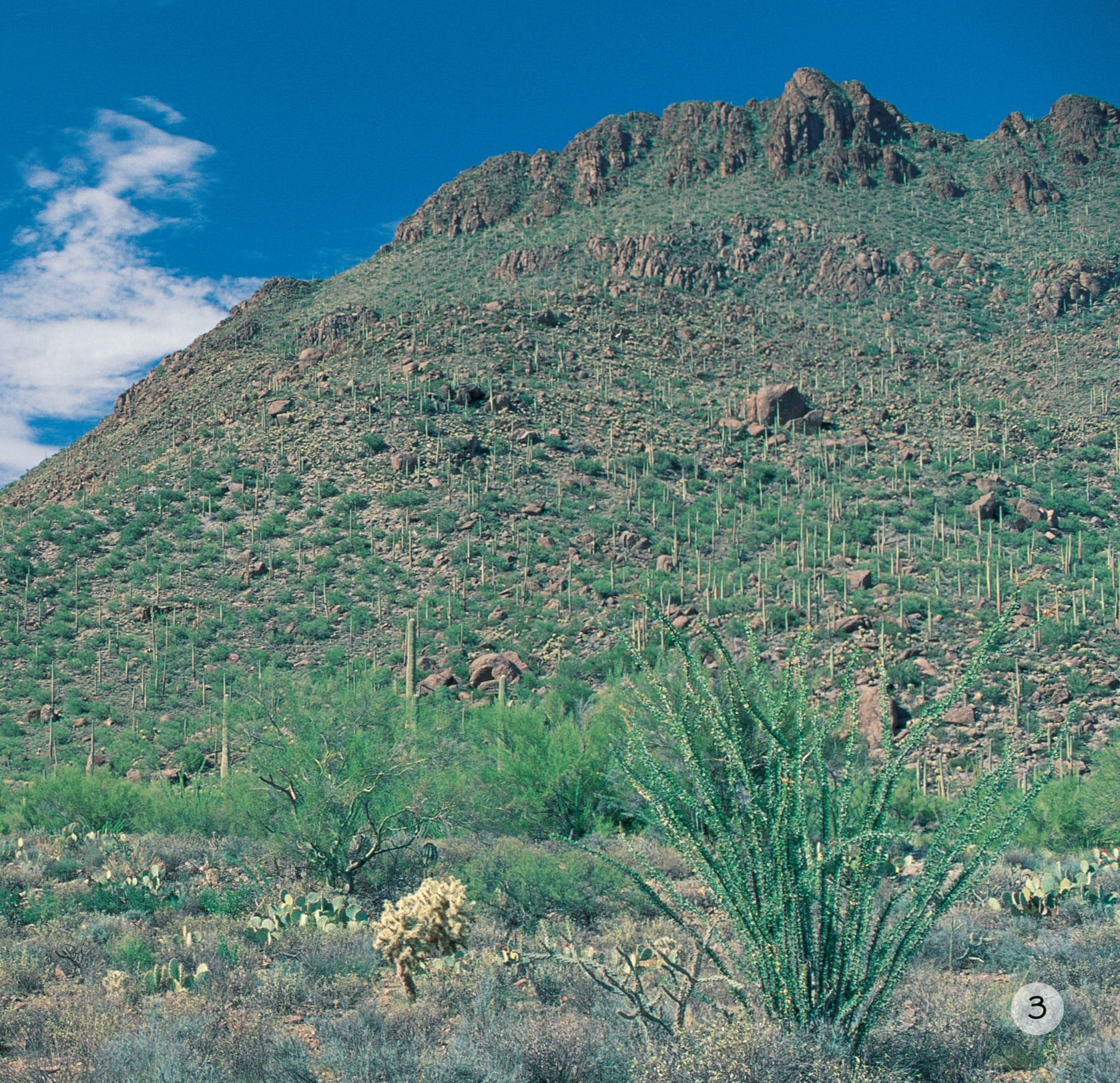 song ngữ việt anh - khám phá thế giới - ở vùng đất khô cằn - in a dry land