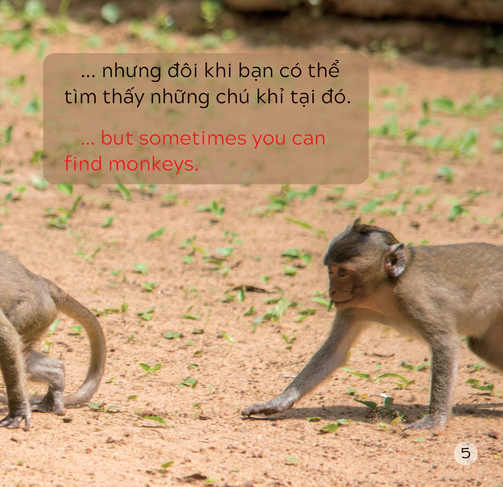 song ngữ việt anh - khám phá thế giới - ở vùng đất khô cằn - in a dry land